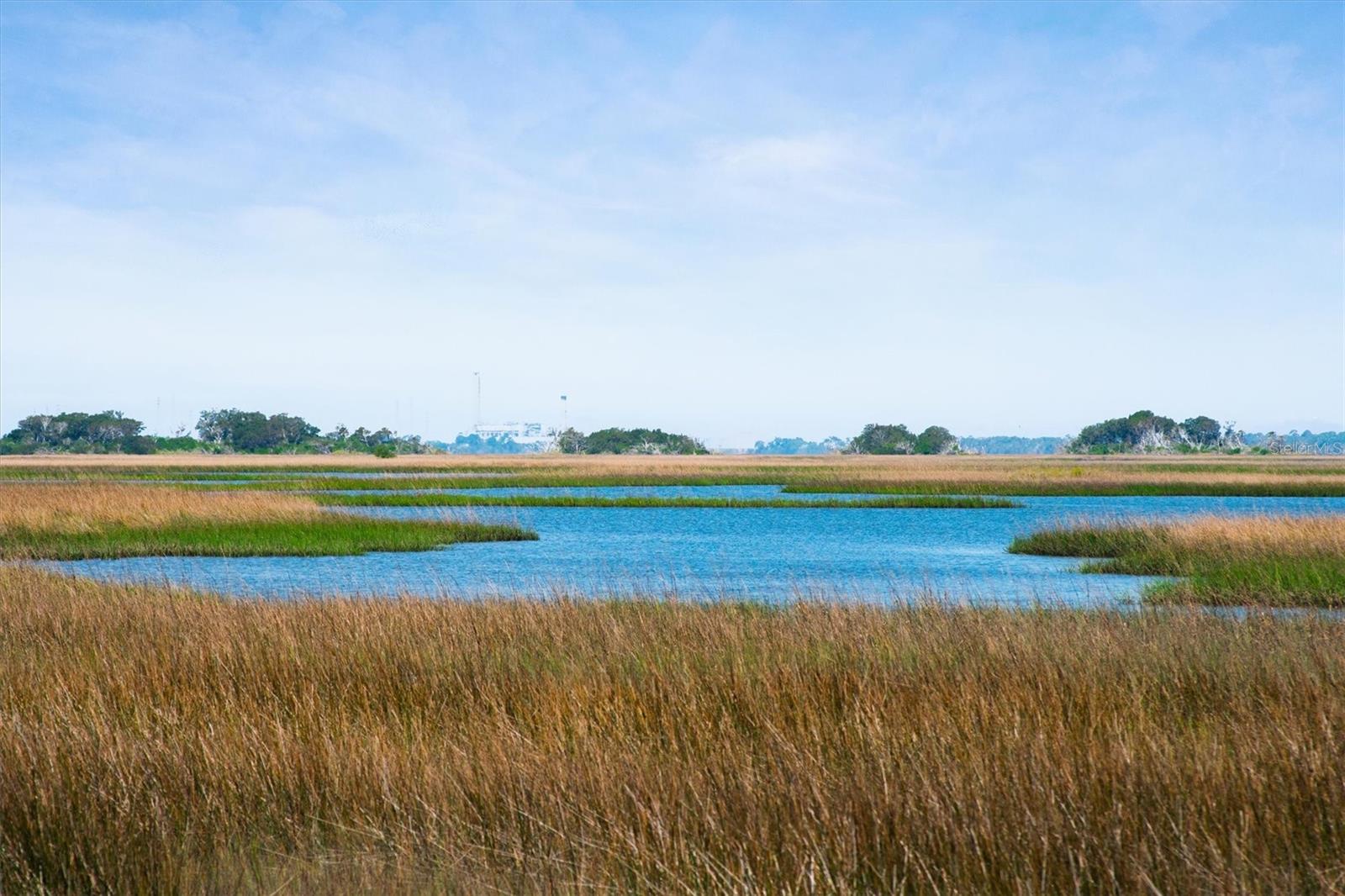 10474 SALT MARSH TRL, JACKSONVILLE, FL, 32226