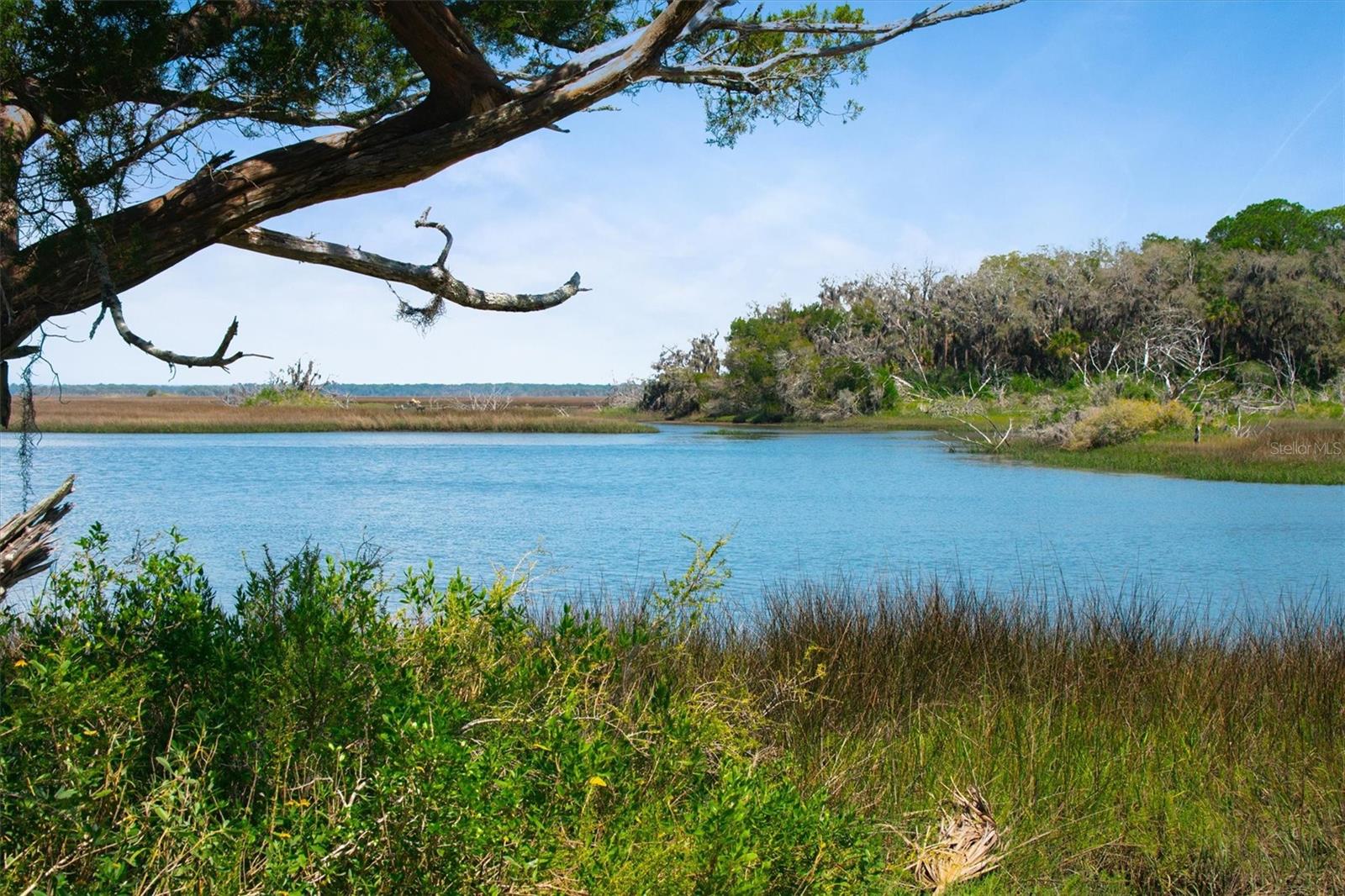 10474 SALT MARSH TRL, JACKSONVILLE, FL, 32226