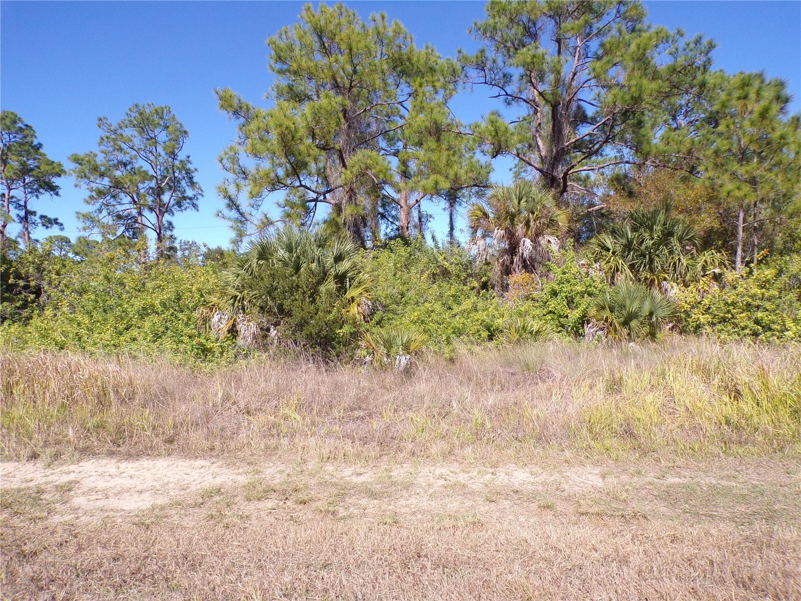 763 LONGBOW LN, LEHIGH ACRES, FL, 33972