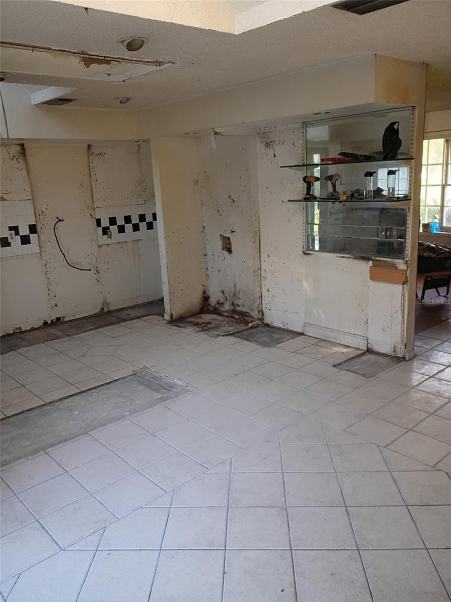 225 FERNERY RD, LAKELAND, FL, 33809