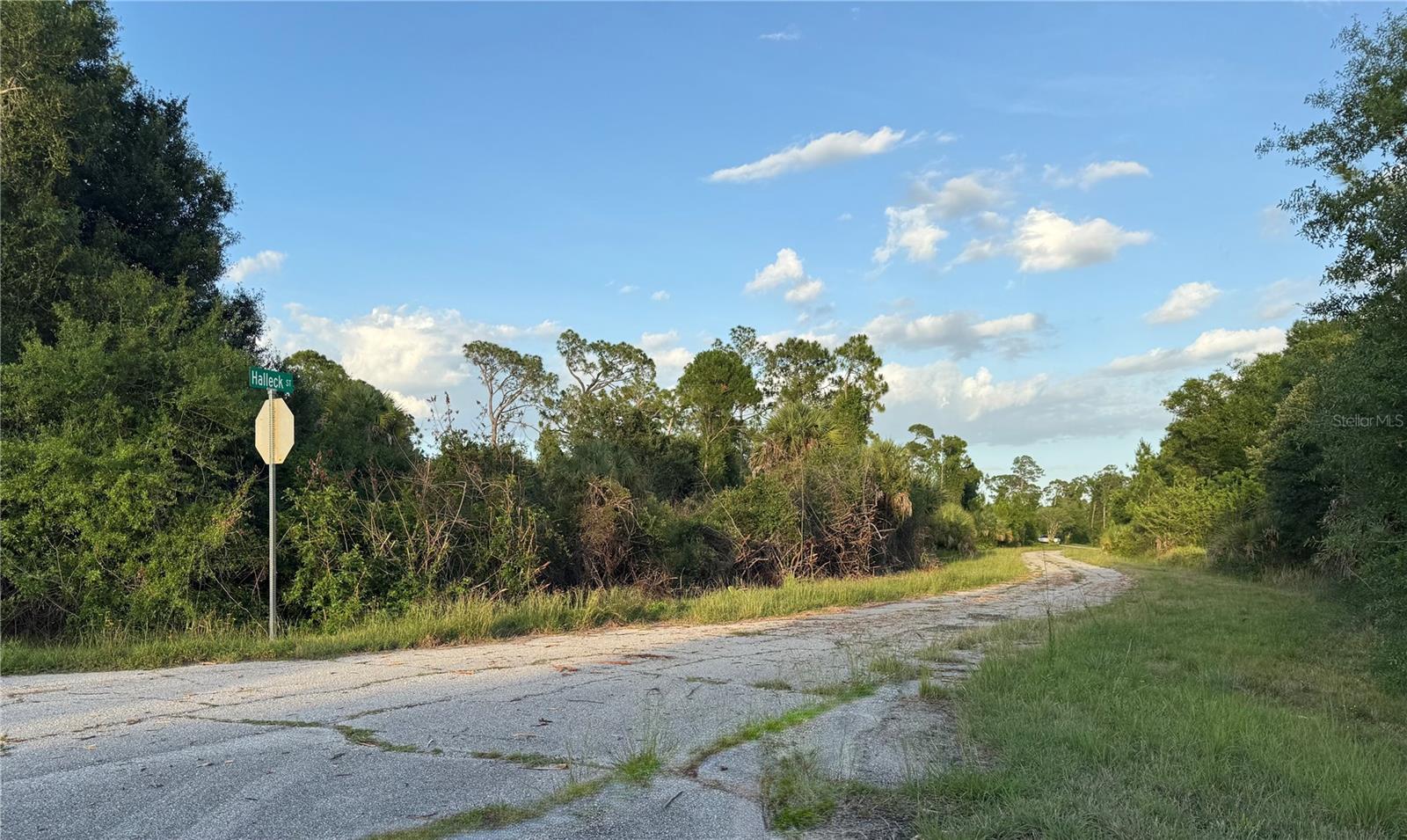 Lot 24 HINSHAW AVE, NORTH PORT, FL, 34288