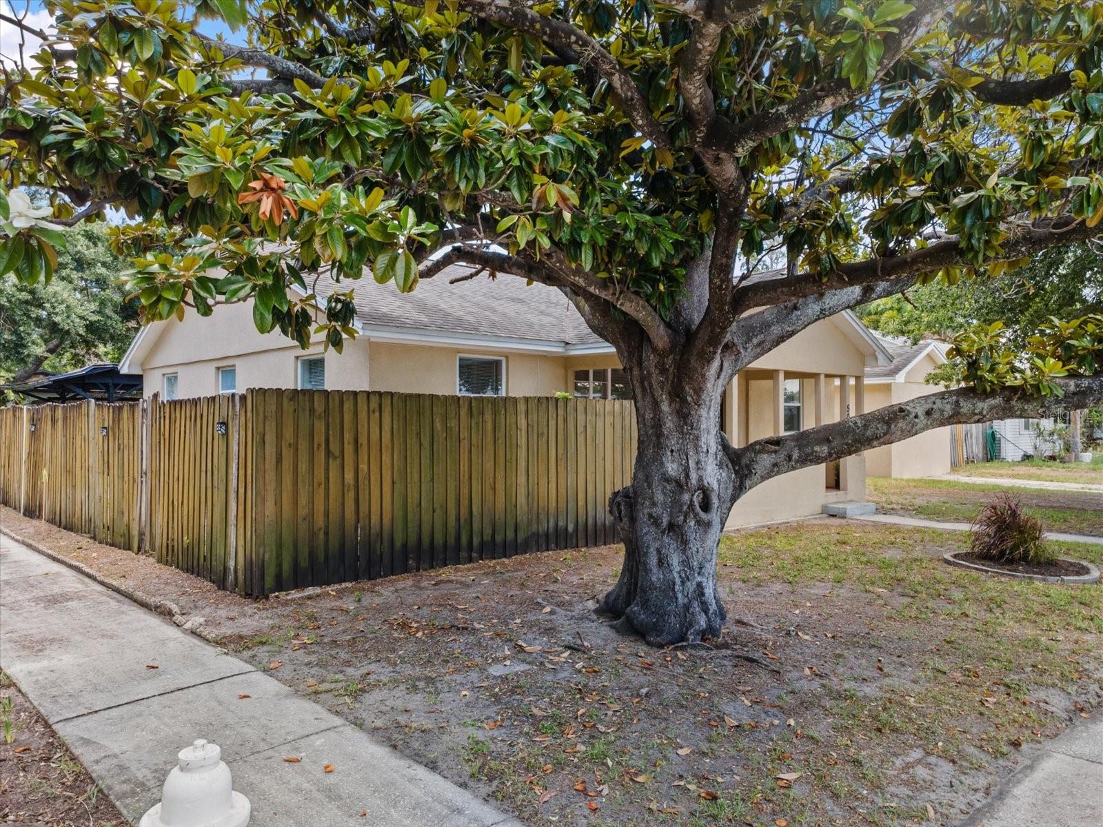 5015 15TH AVE S, GULFPORT, FL, 33707