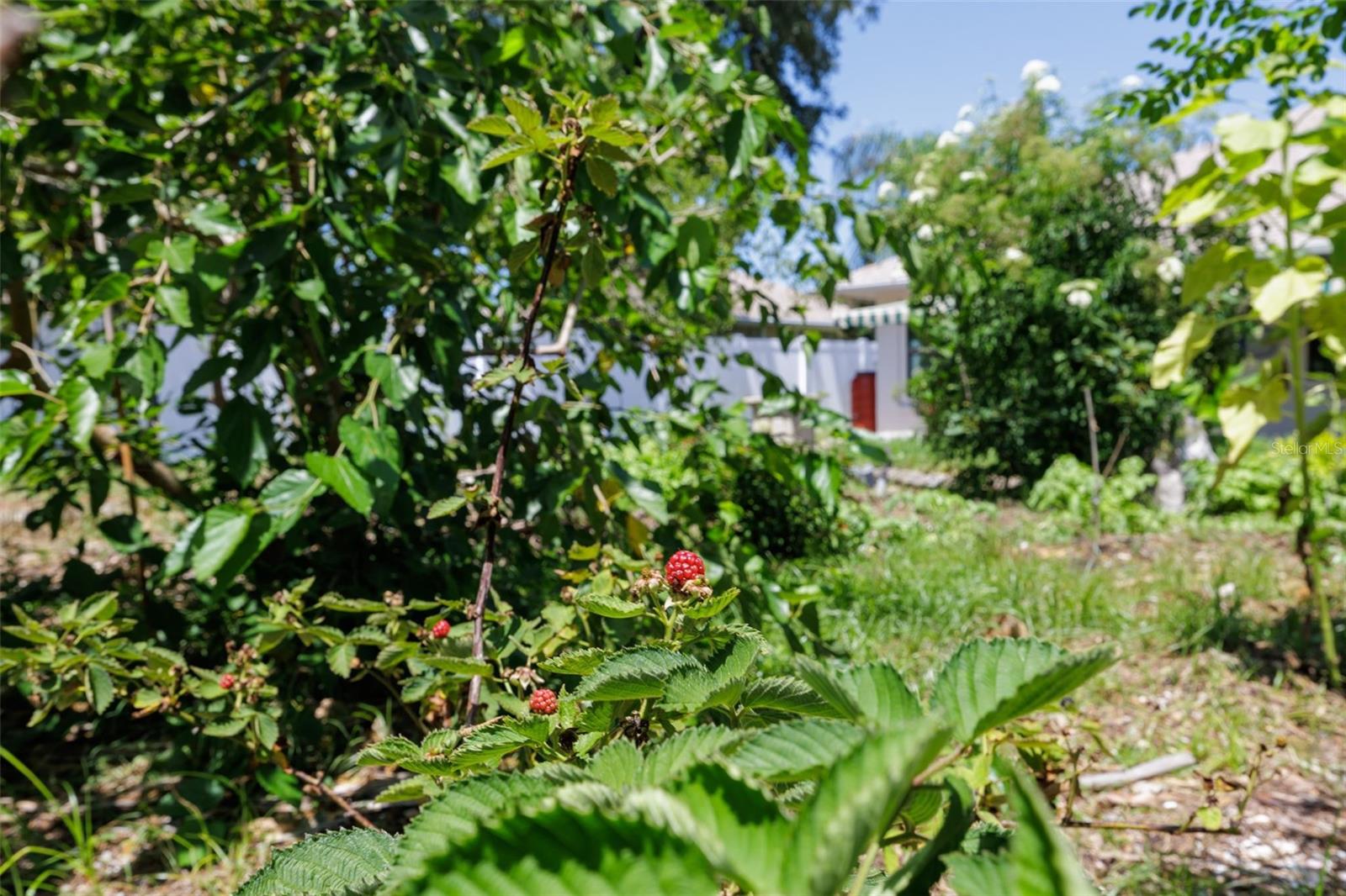 6 FAIRHILL LN, PALM COAST, FL, 32137
