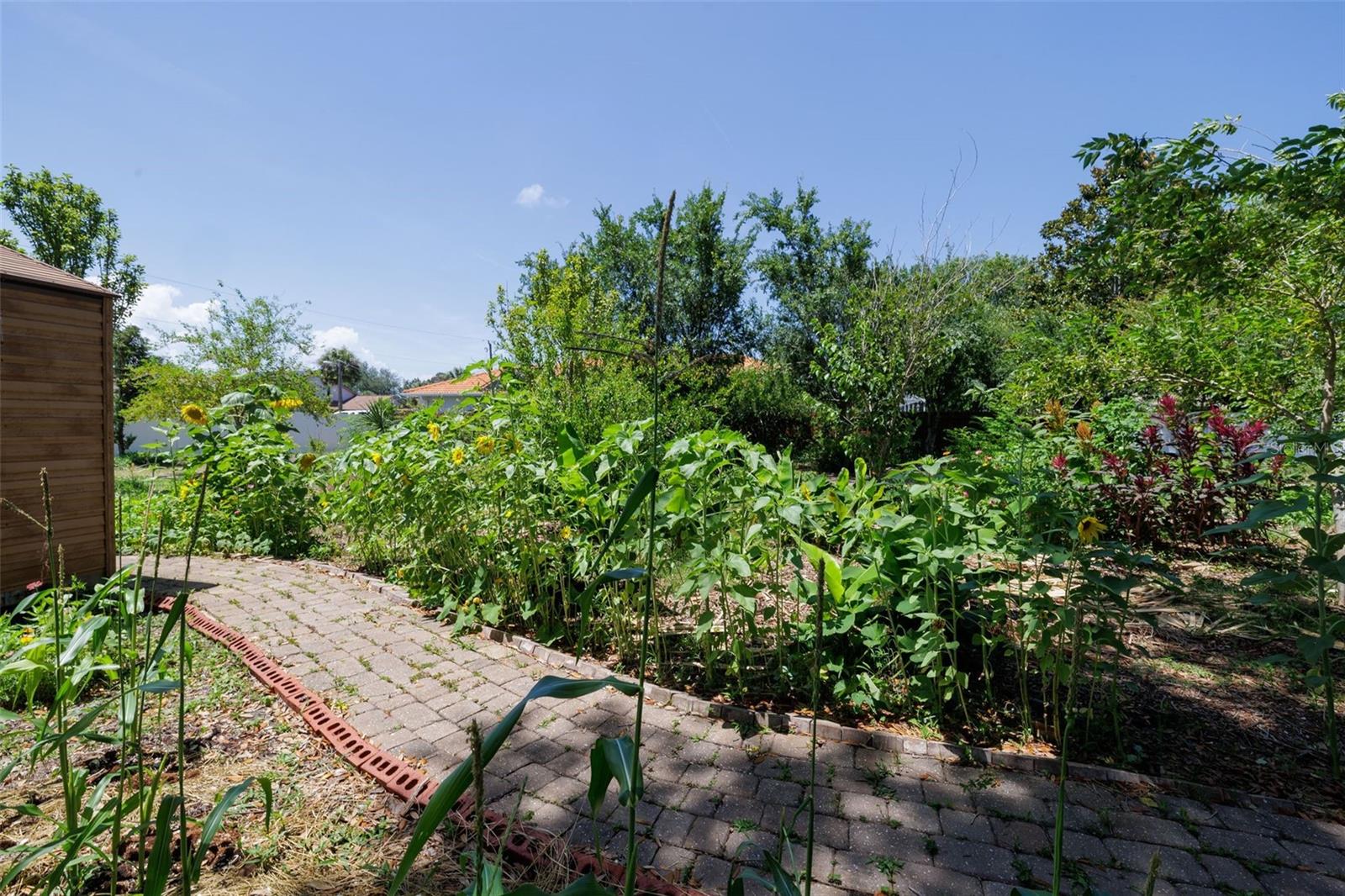 6 FAIRHILL LN, PALM COAST, FL, 32137