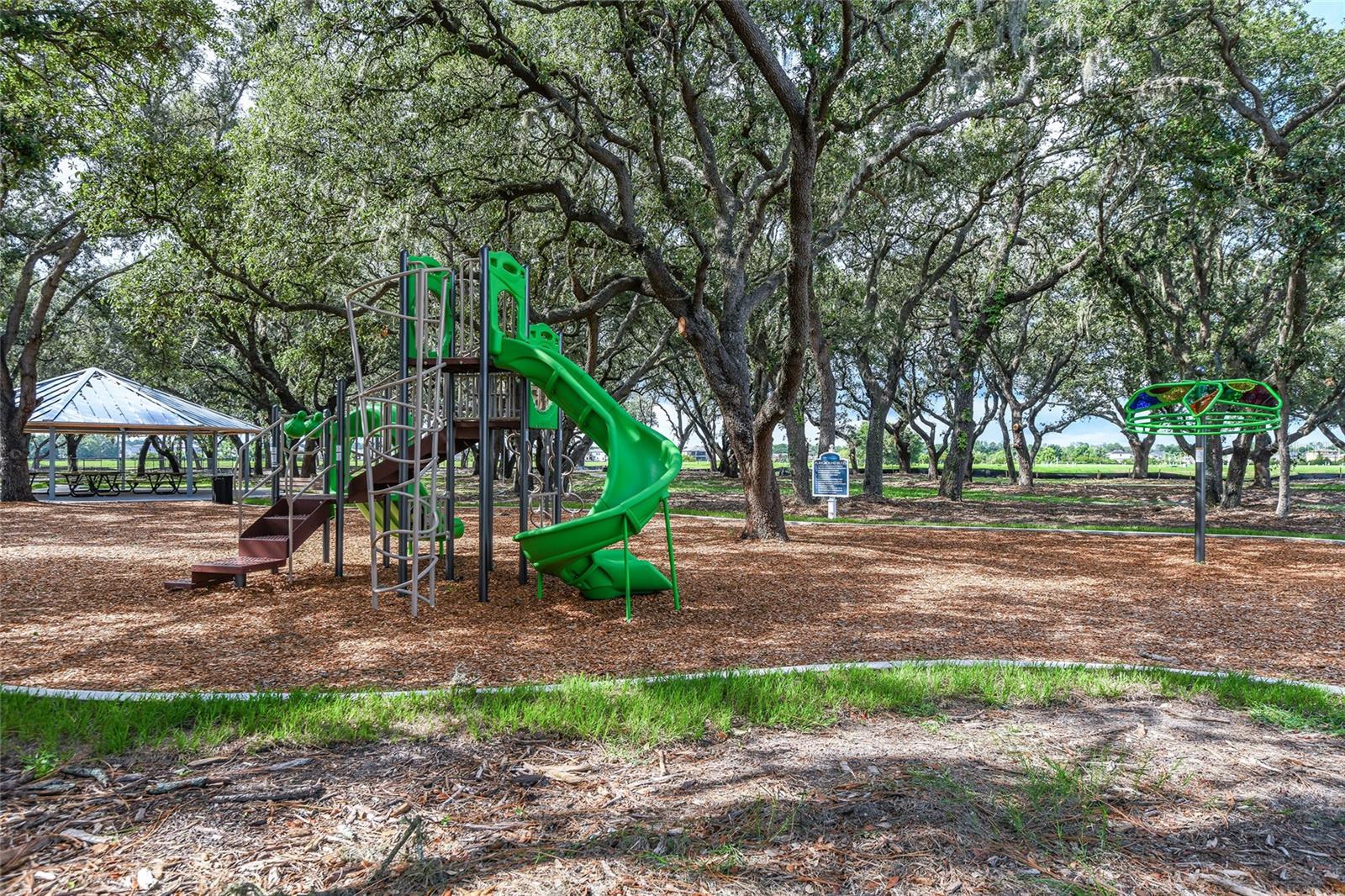 13238 BABY BELLE DR, RIVERVIEW, FL, 33579