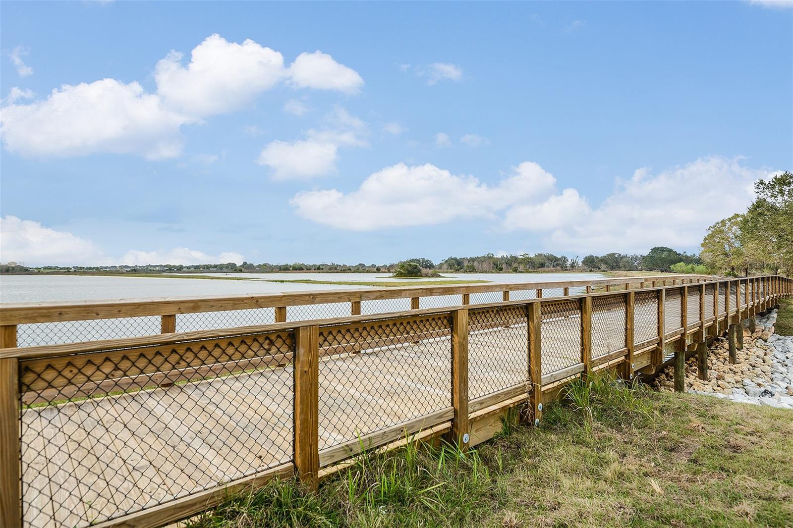 13238 BABY BELLE DR, RIVERVIEW, FL, 33579