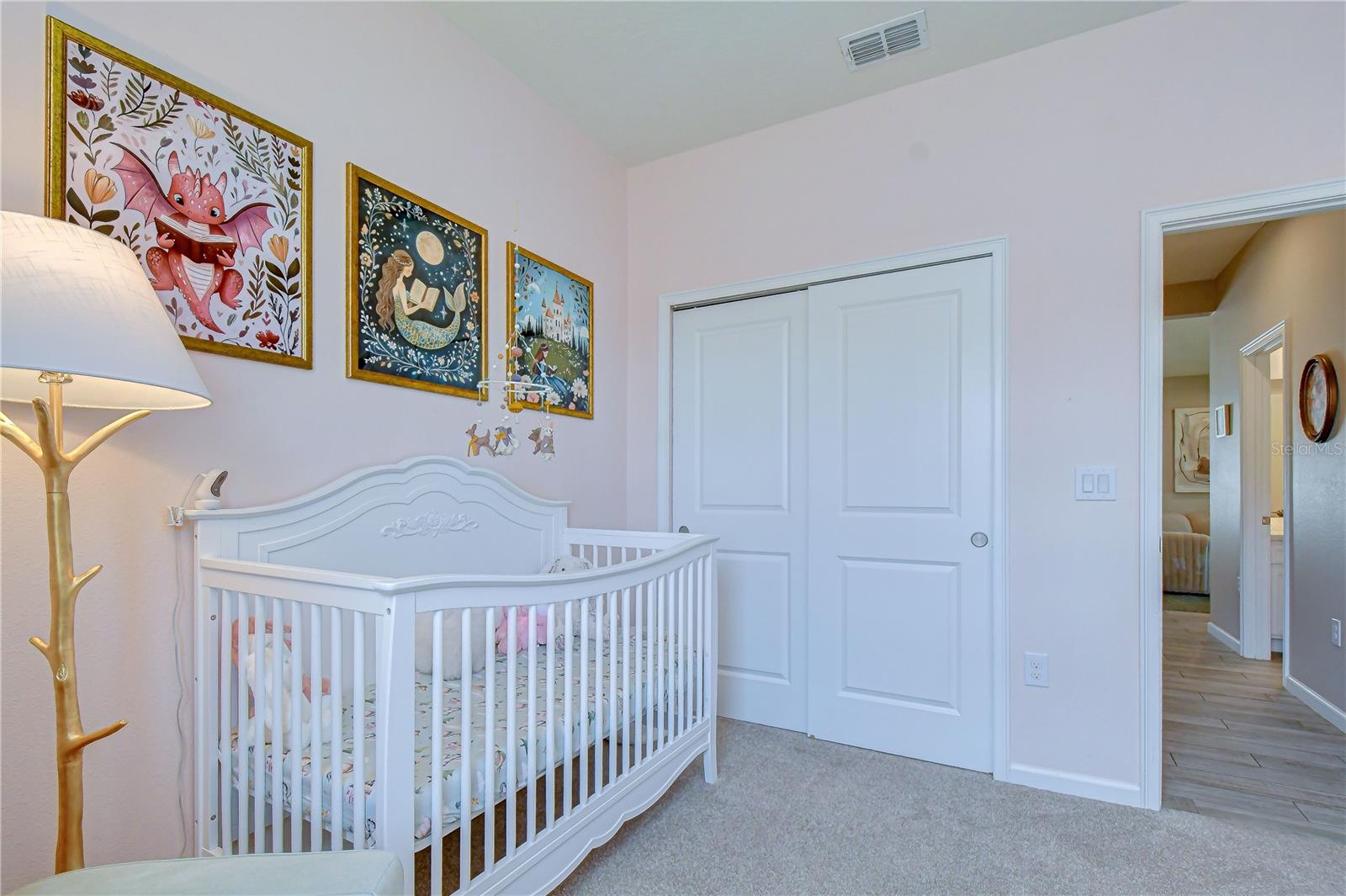 13238 BABY BELLE DR, RIVERVIEW, FL, 33579