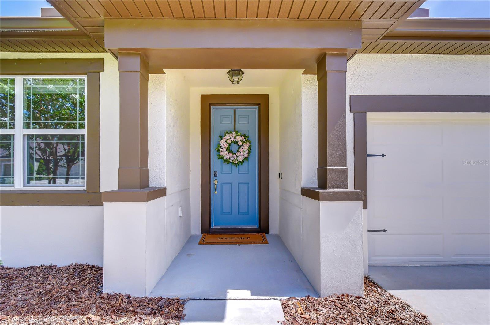 13238 BABY BELLE DR, RIVERVIEW, FL, 33579