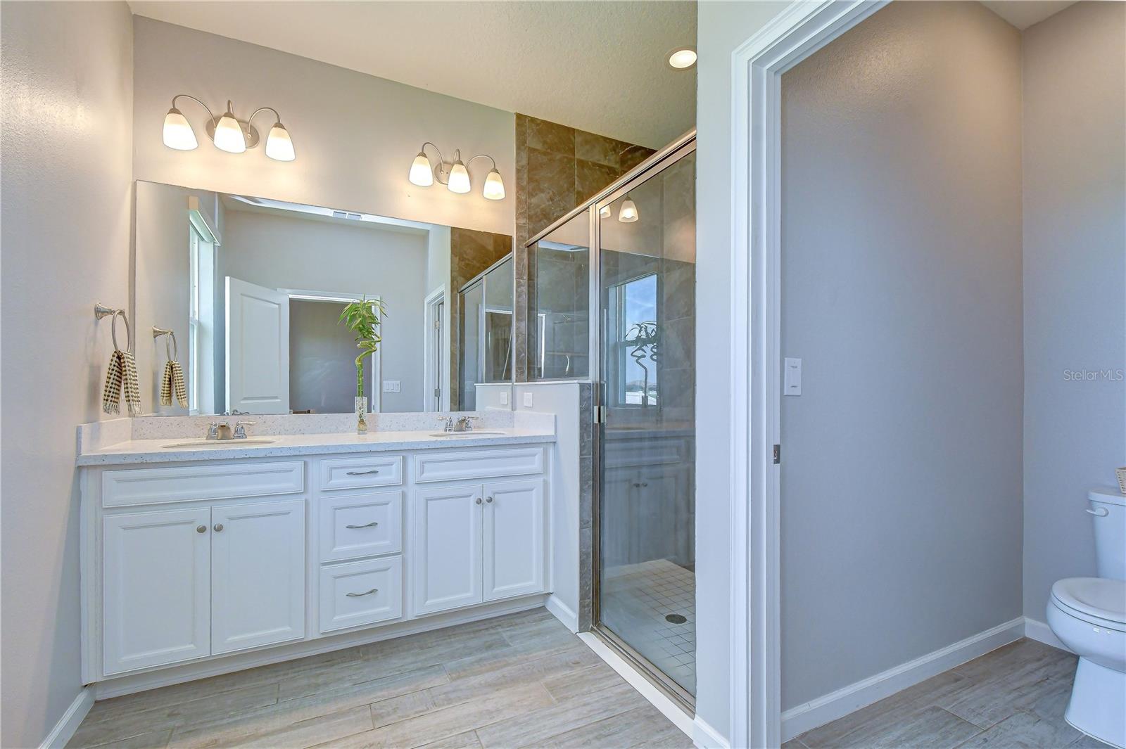 13238 BABY BELLE DR, RIVERVIEW, FL, 33579