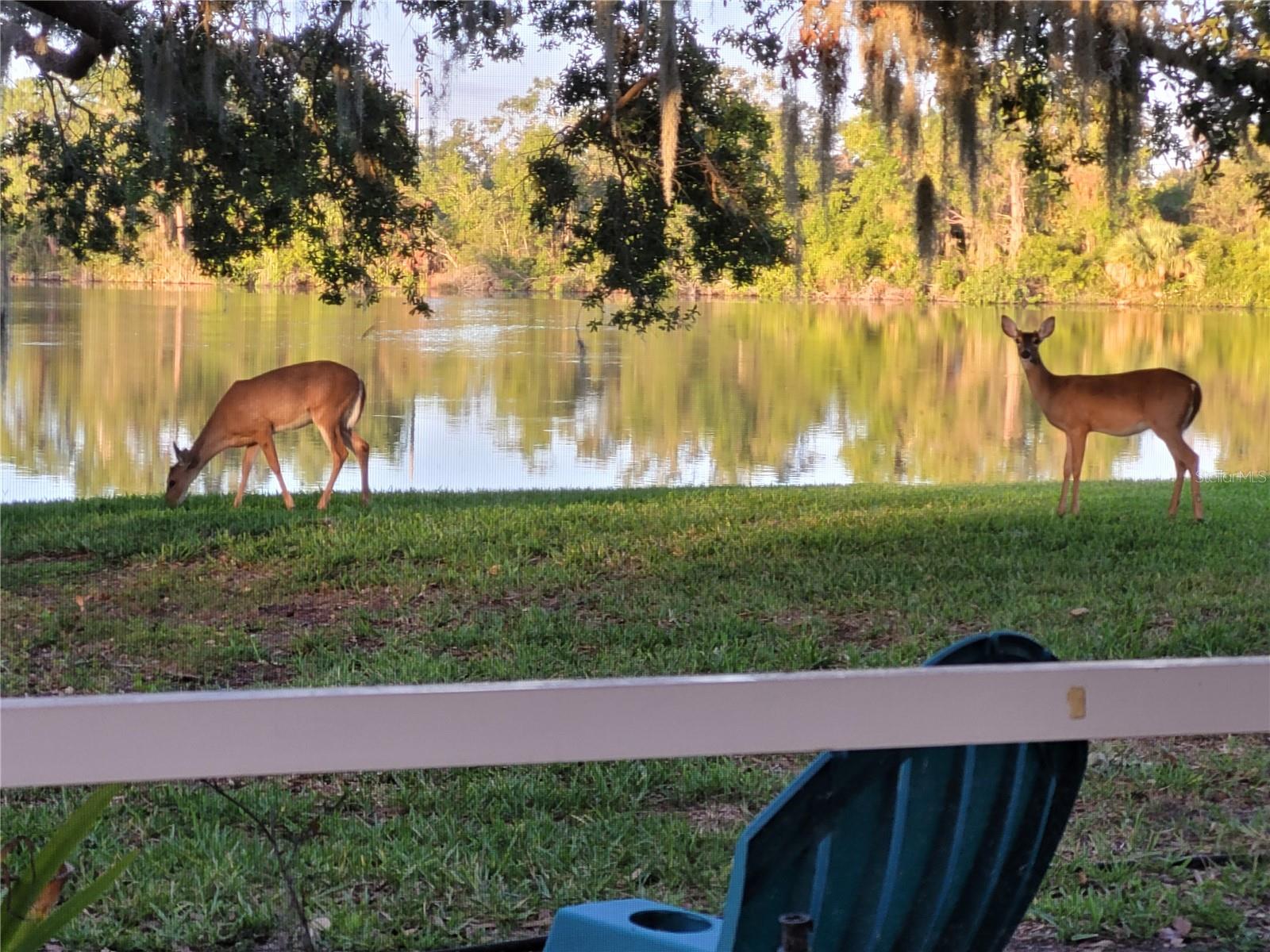 8333 EAGLE LAKE DR, SARASOTA, FL, 34241