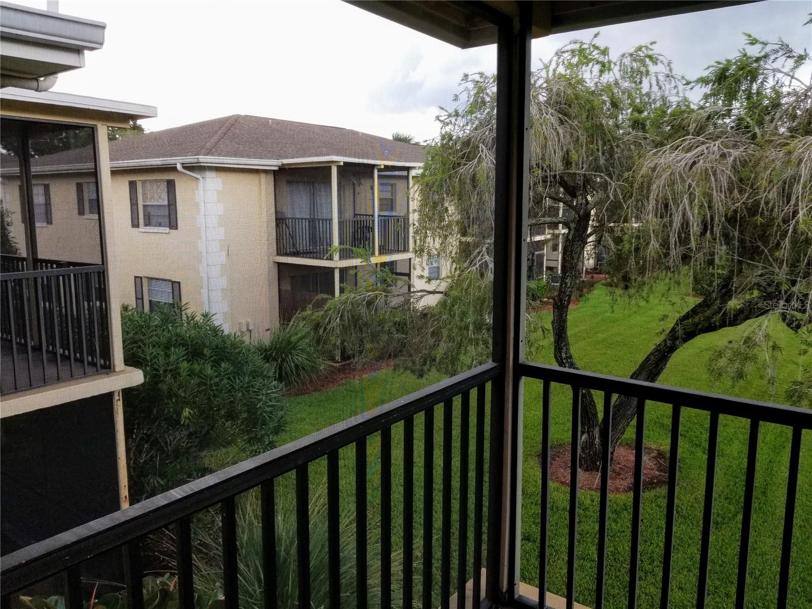 13125 WILCOX RD #7203, LARGO, FL, 33774
