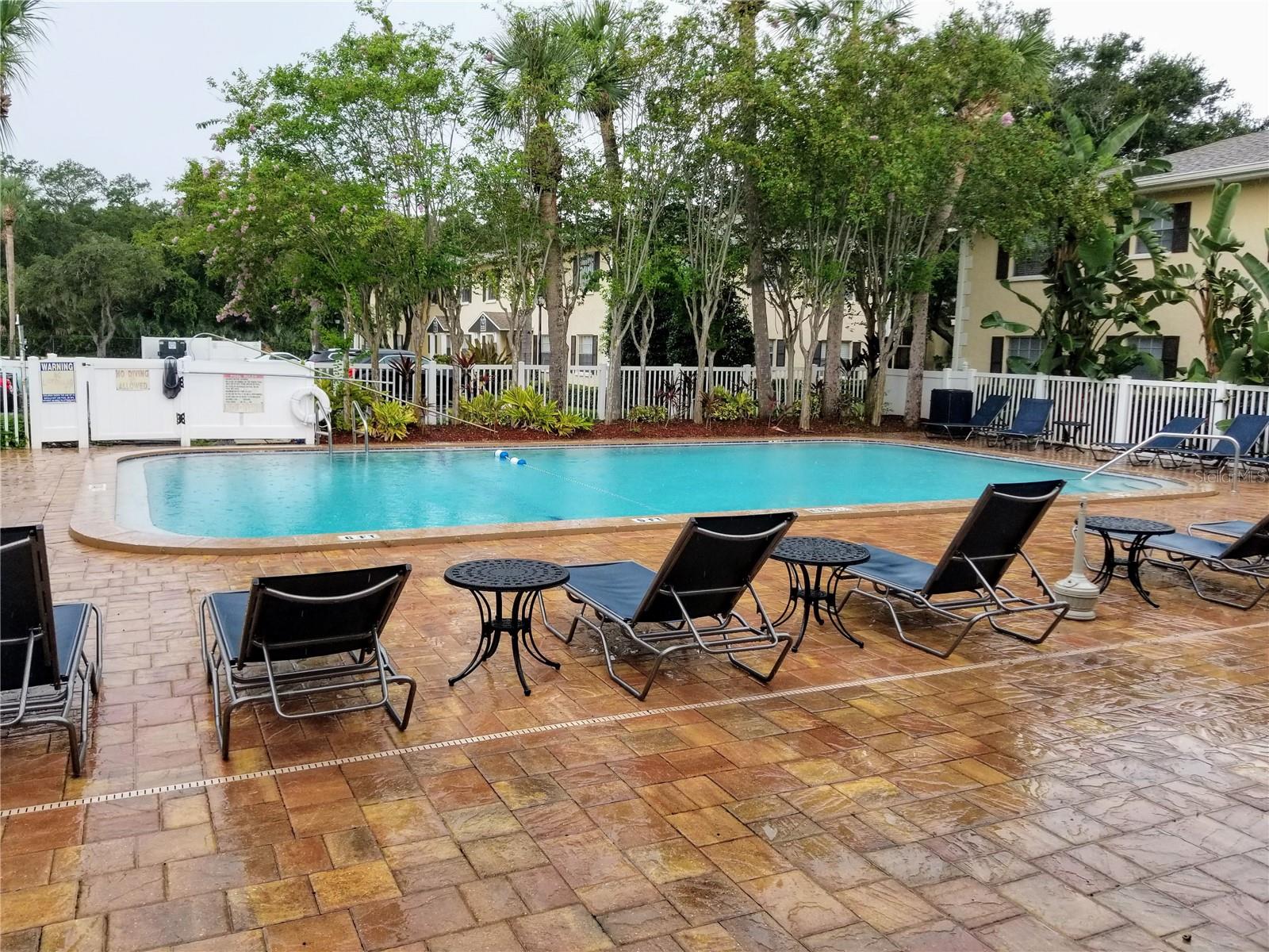 13125 WILCOX RD #7203, LARGO, FL, 33774