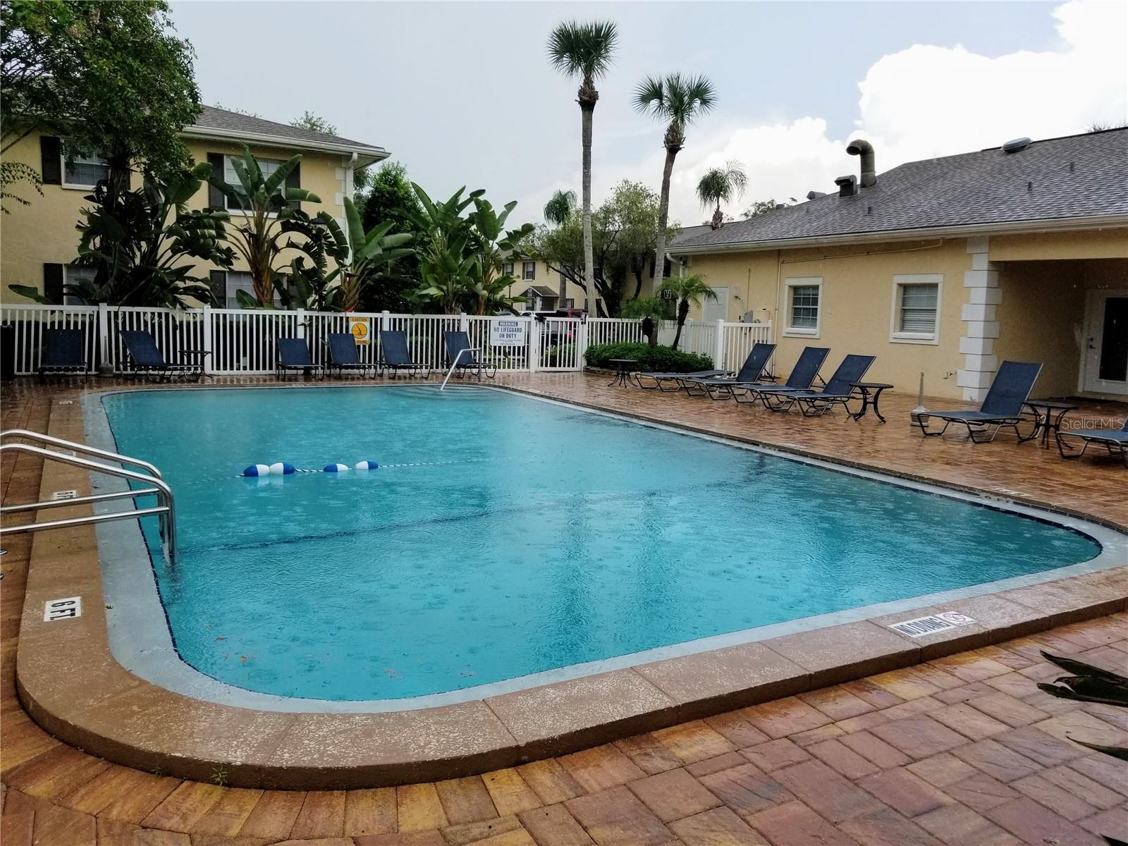 13125 WILCOX RD #7203, LARGO, FL, 33774