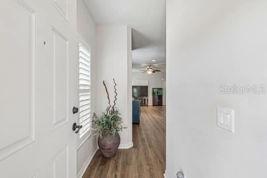 994 CELTIC CIR, TARPON SPRINGS, FL, 34689