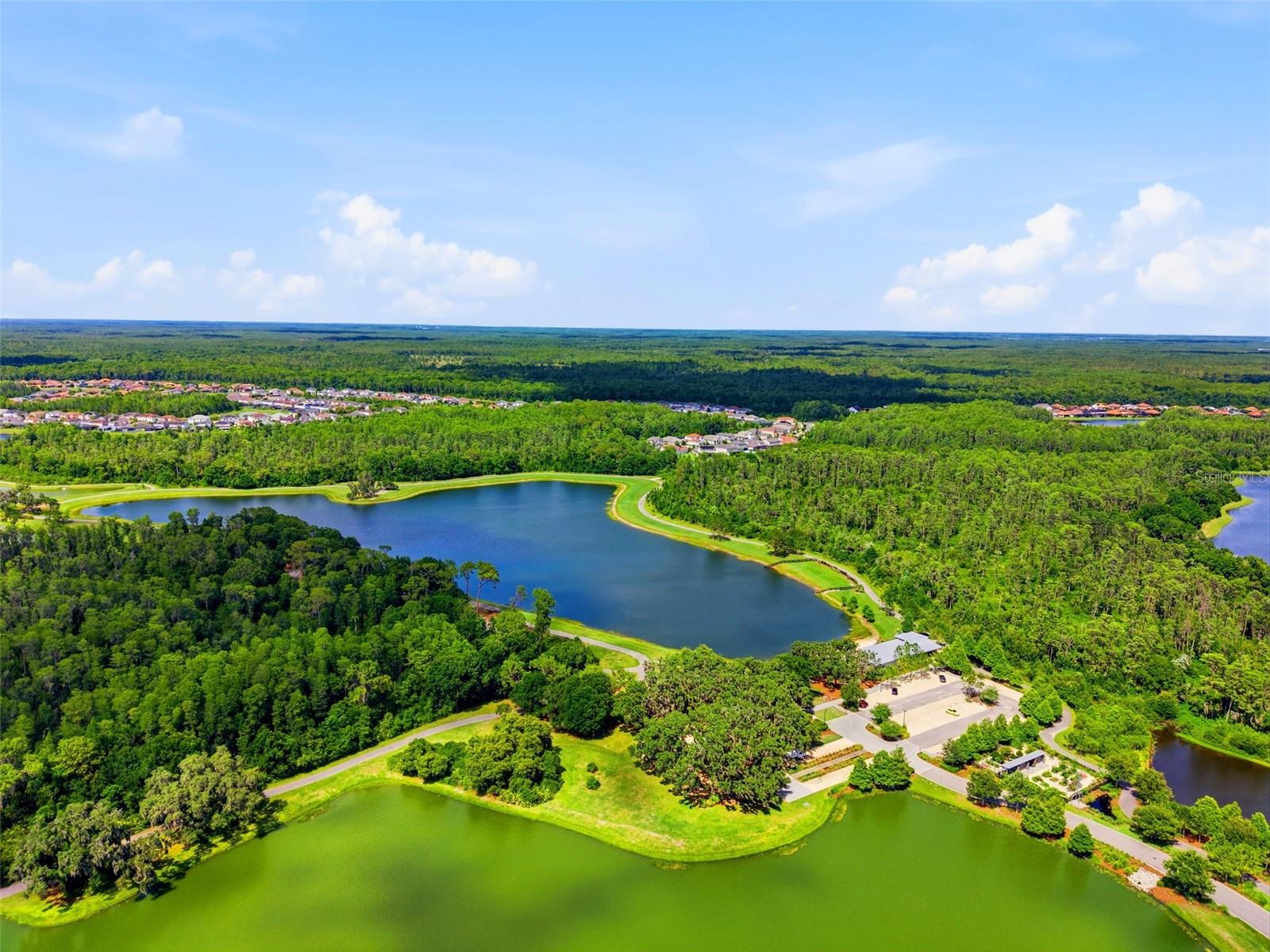 2451 SLADE AVE, ODESSA, FL, 33556