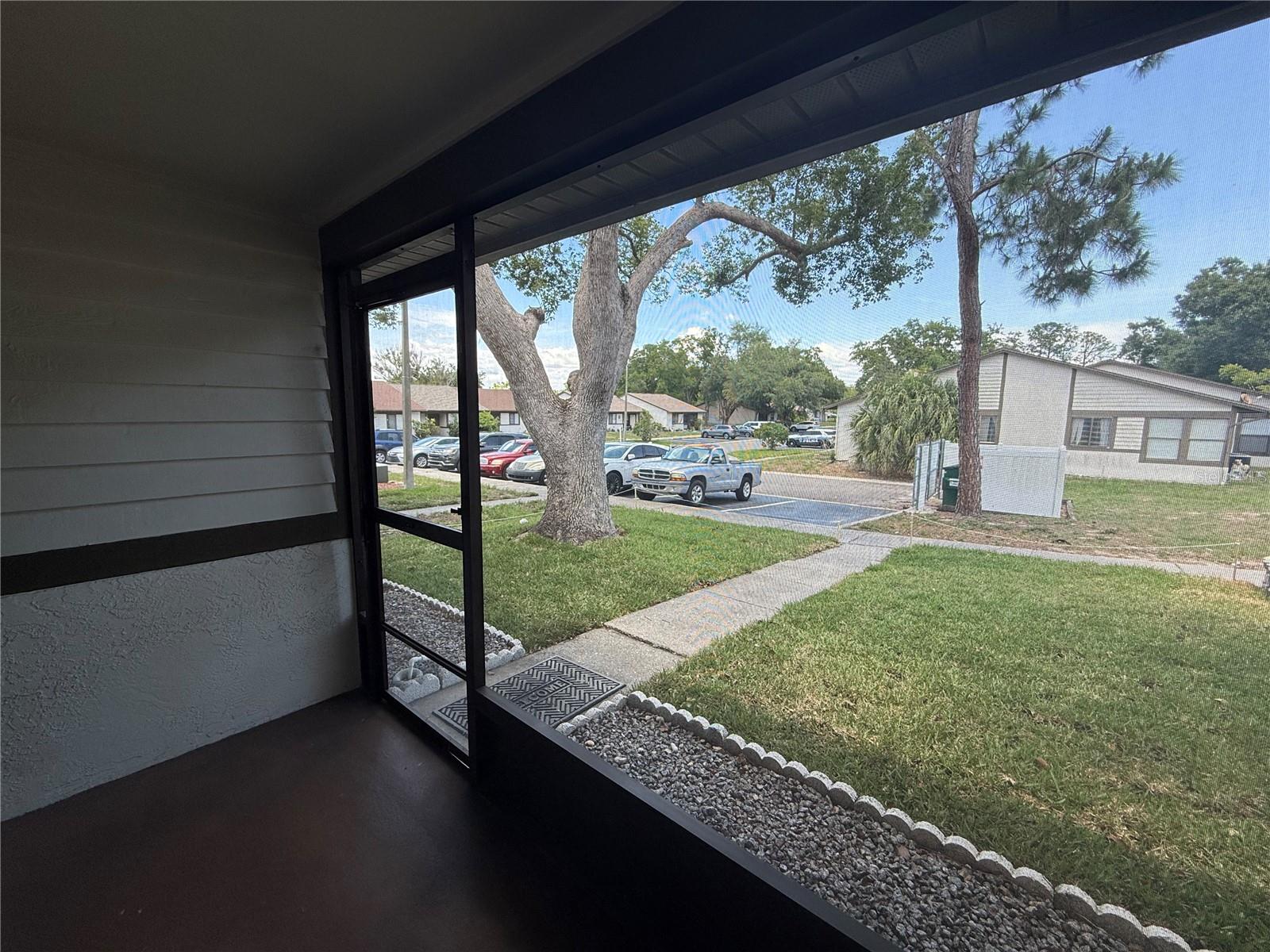 2130 BANCROFT PL #B, PALM HARBOR, FL, 34683