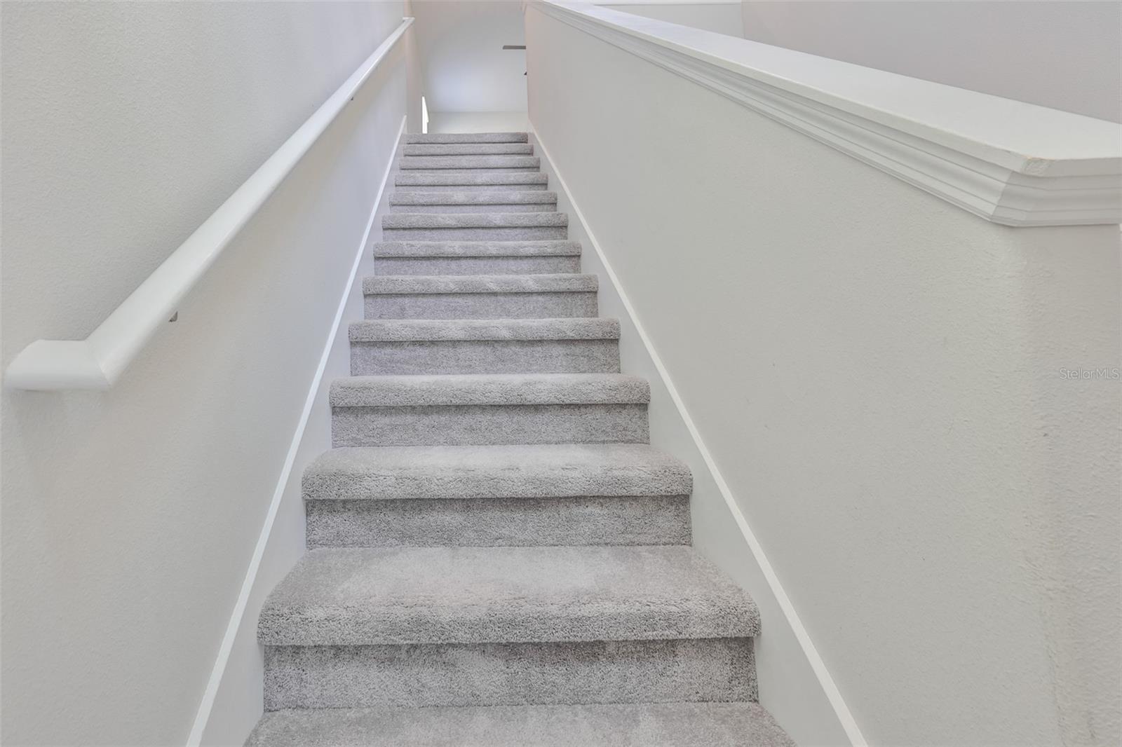 797 OLIVE CONCH ST, RUSKIN, FL, 33570
