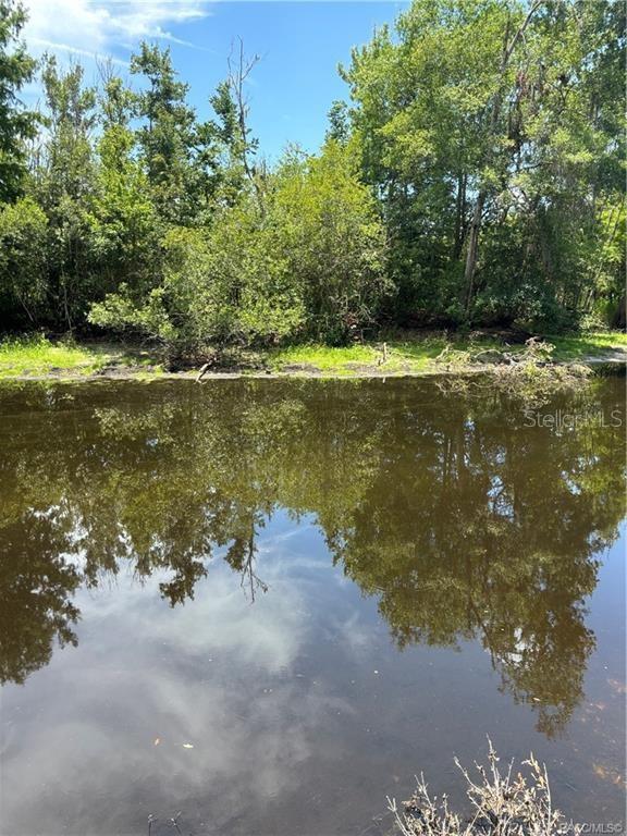 5185 S ALLIGATOR PL, FLORAL CITY, FL, 34436