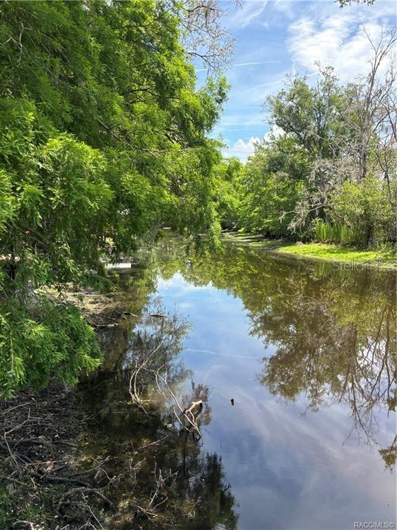 5185 S ALLIGATOR PL, FLORAL CITY, FL, 34436