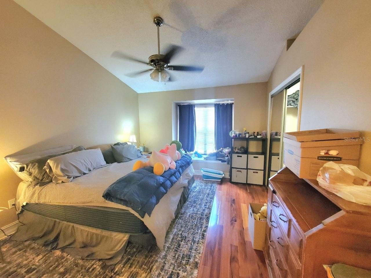 5100 BURCHETTE RD #3502, TAMPA, FL, 33647