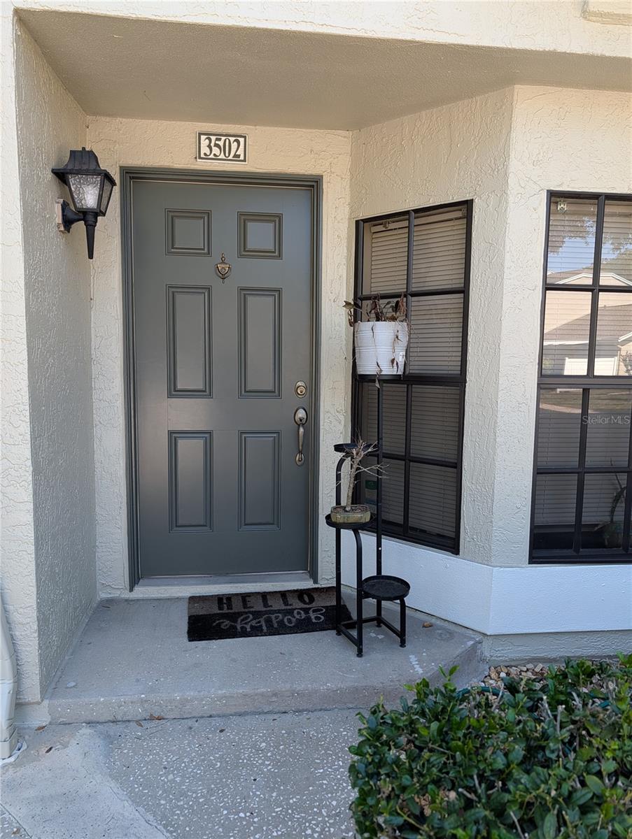 5100 BURCHETTE RD #3502, TAMPA, FL, 33647