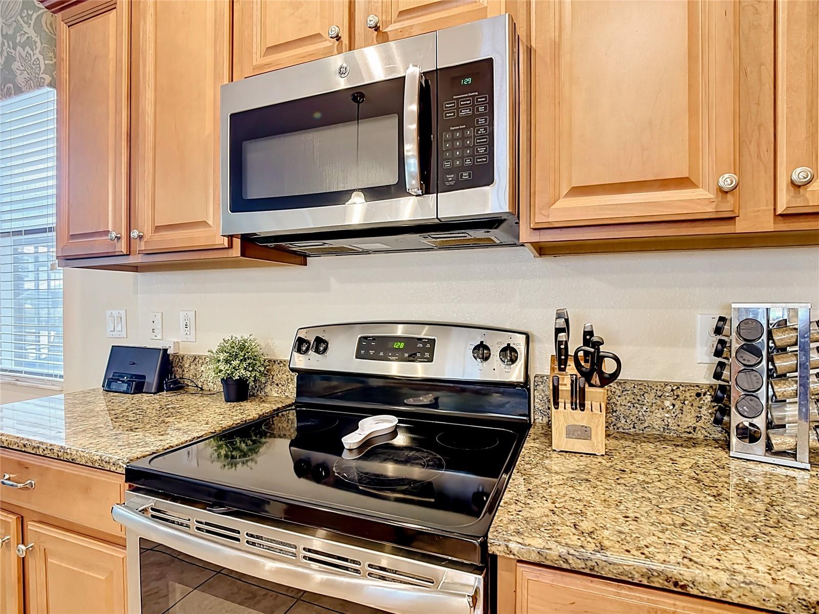 1442 MOON VALLEY DR, DAVENPORT, FL, 33896