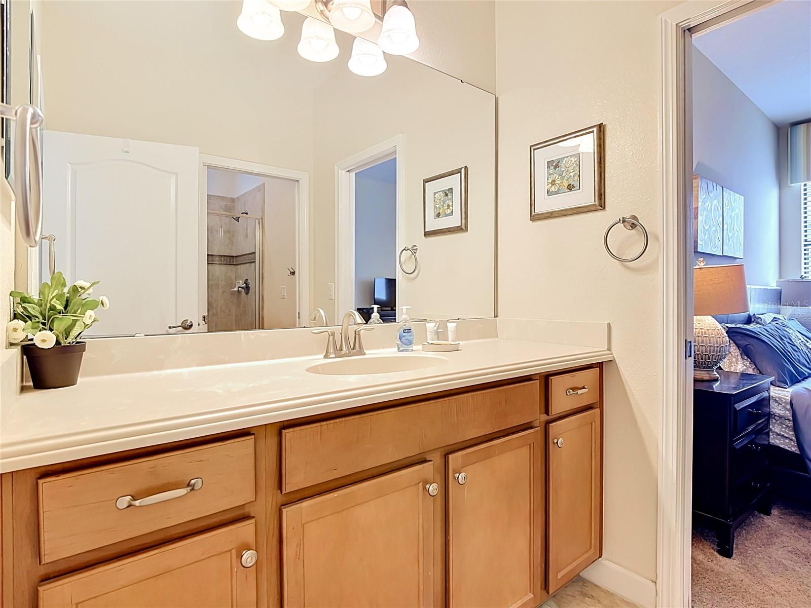 1442 MOON VALLEY DR, DAVENPORT, FL, 33896