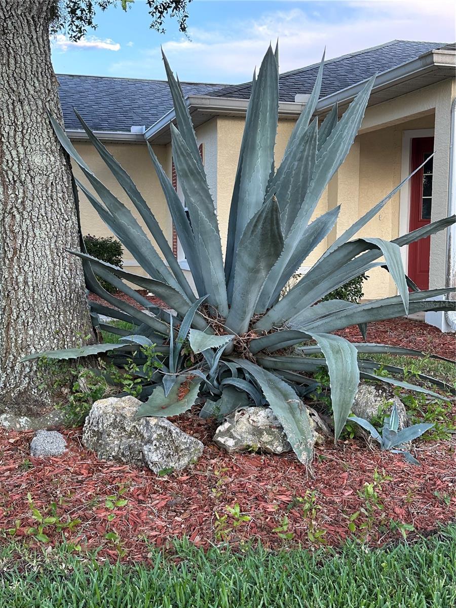 9706 SW 92ND PLACE RD, OCALA, FL, 34481
