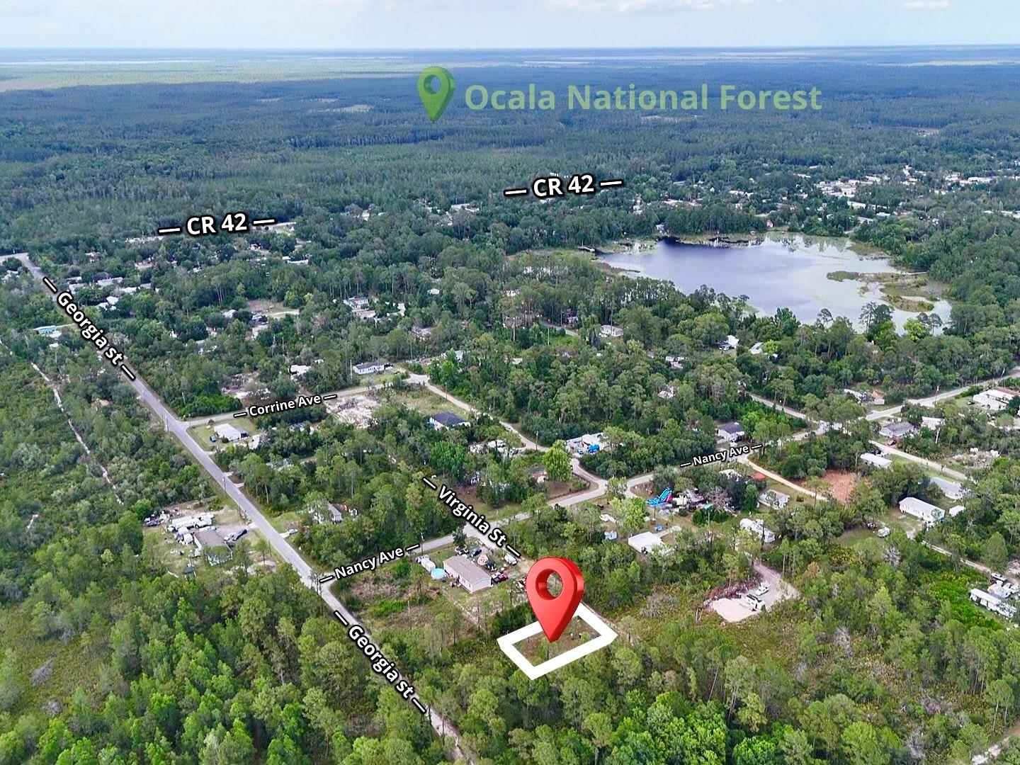 56309 VIRGINIA ST, PAISLEY, FL, 32767