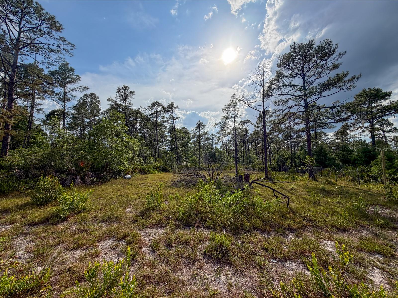 56309 VIRGINIA ST, PAISLEY, FL, 32767