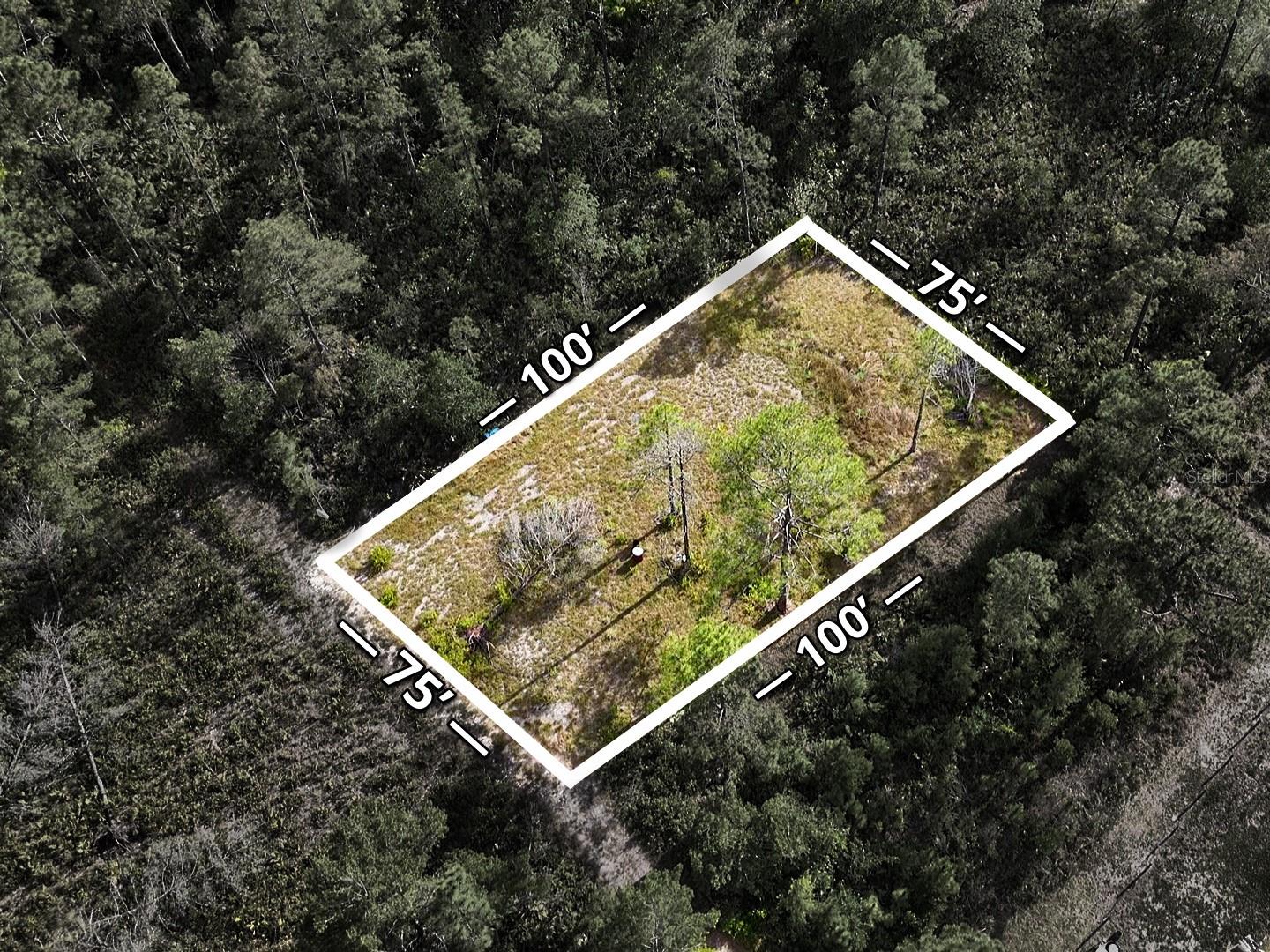56309 VIRGINIA ST, PAISLEY, FL, 32767