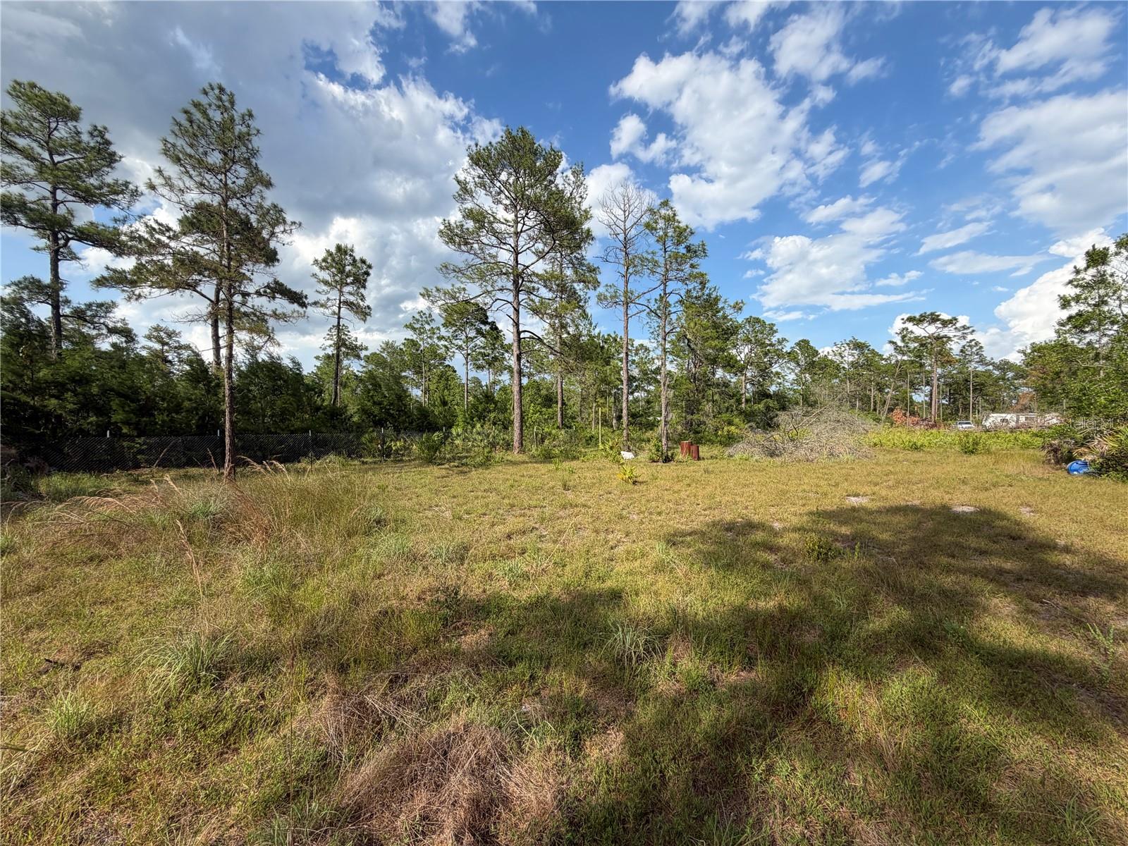 56309 VIRGINIA ST, PAISLEY, FL, 32767