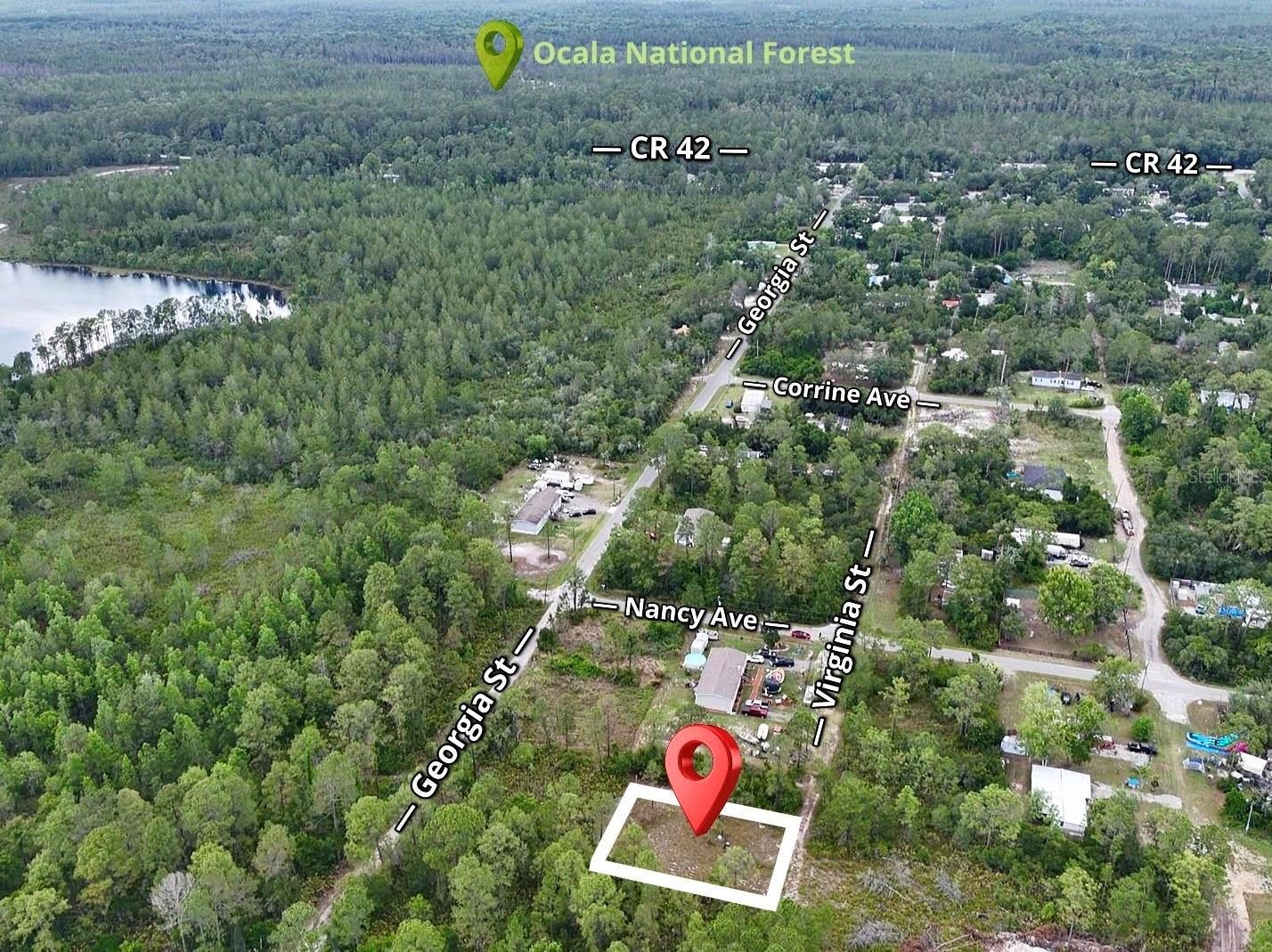 56309 VIRGINIA ST, PAISLEY, FL, 32767
