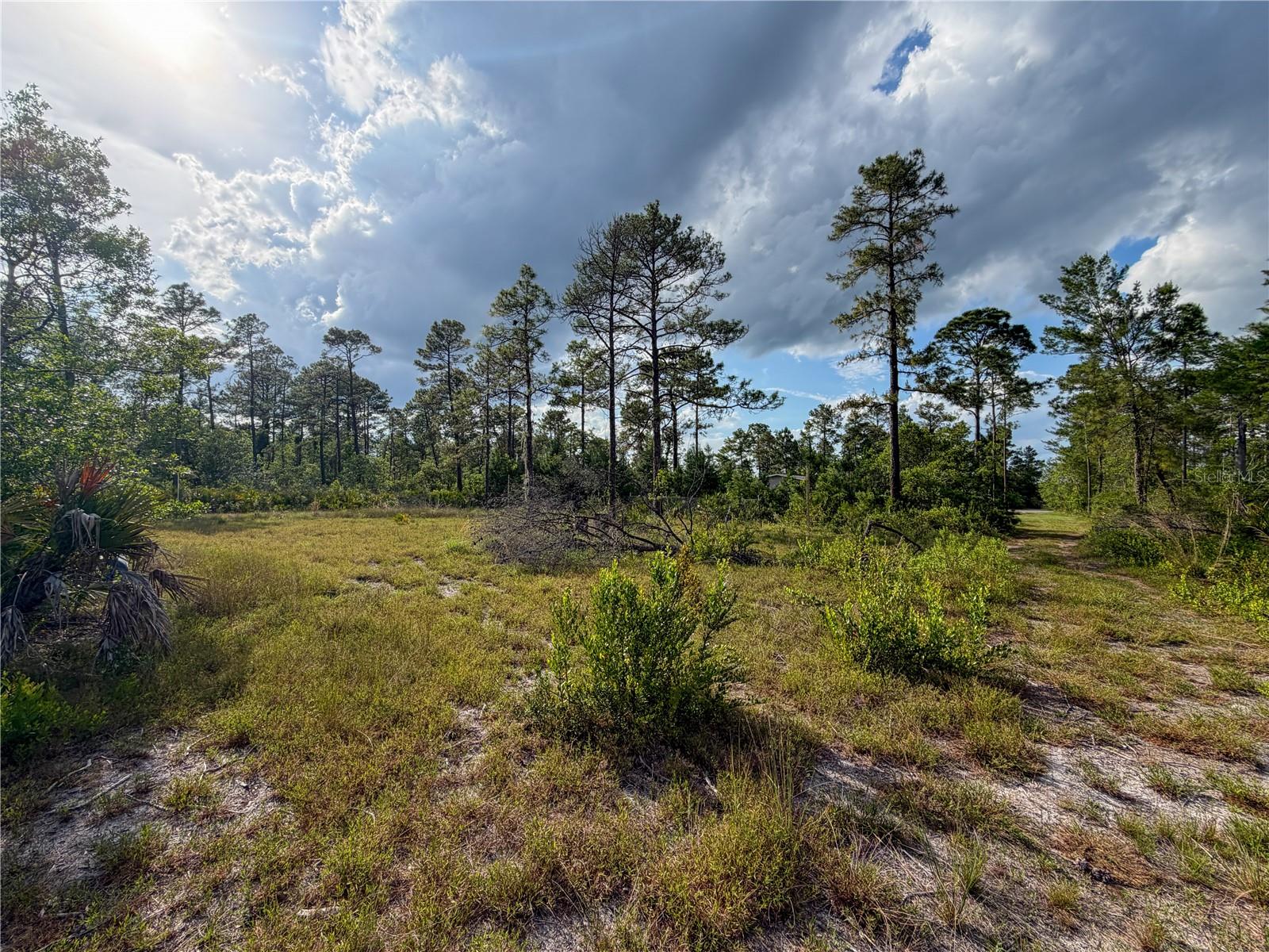 56309 VIRGINIA ST, PAISLEY, FL, 32767