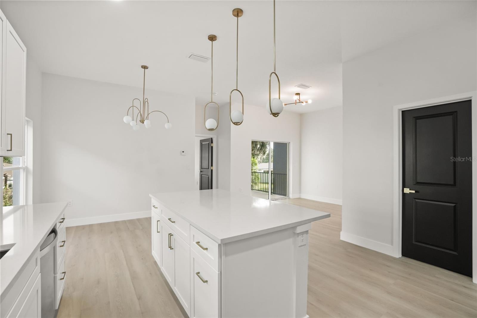 823 E MCDONALD AVE, EUSTIS, FL, 32726