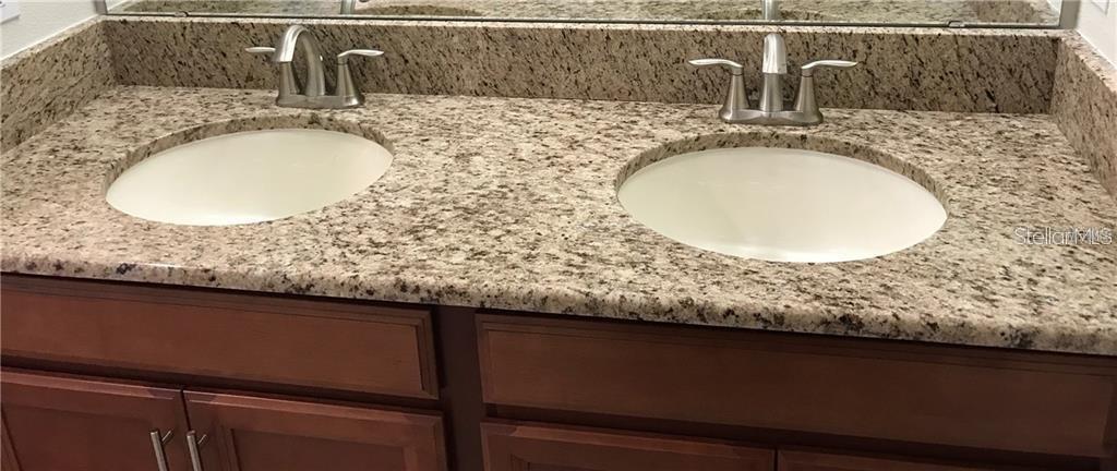 1599 MOON VALLEY DR, DAVENPORT, FL, 33896