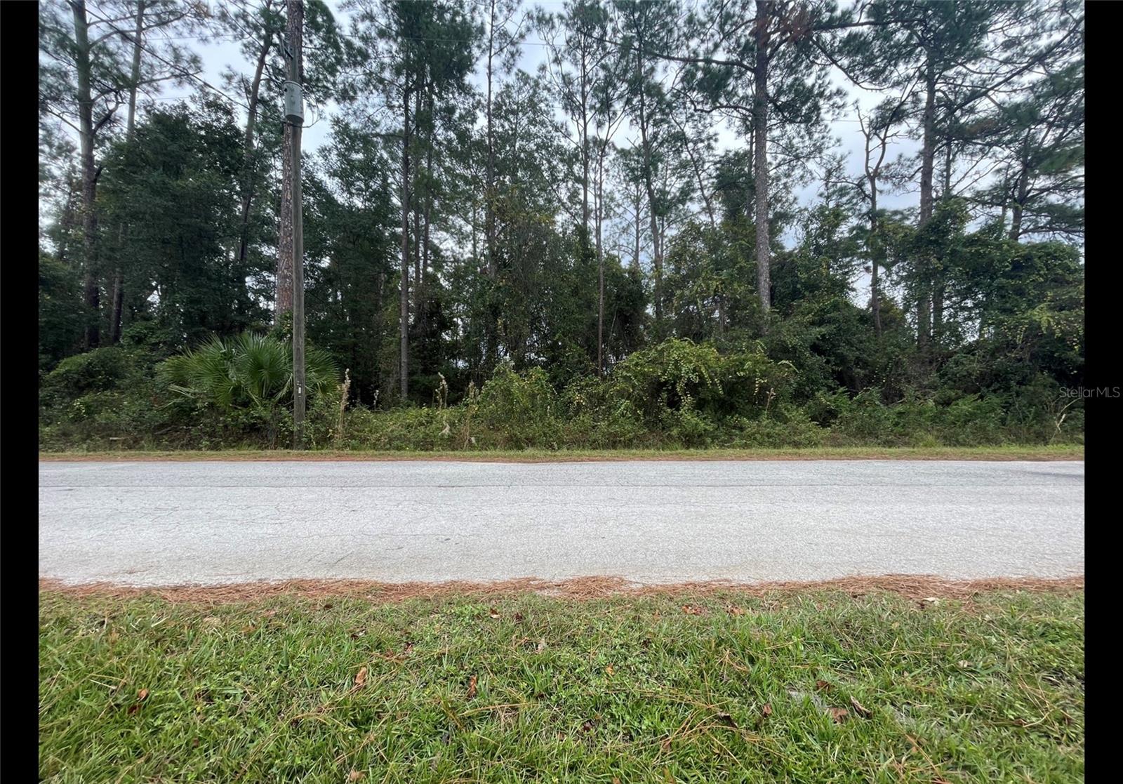 CR 173E, WILDWOOD, FL, 34785