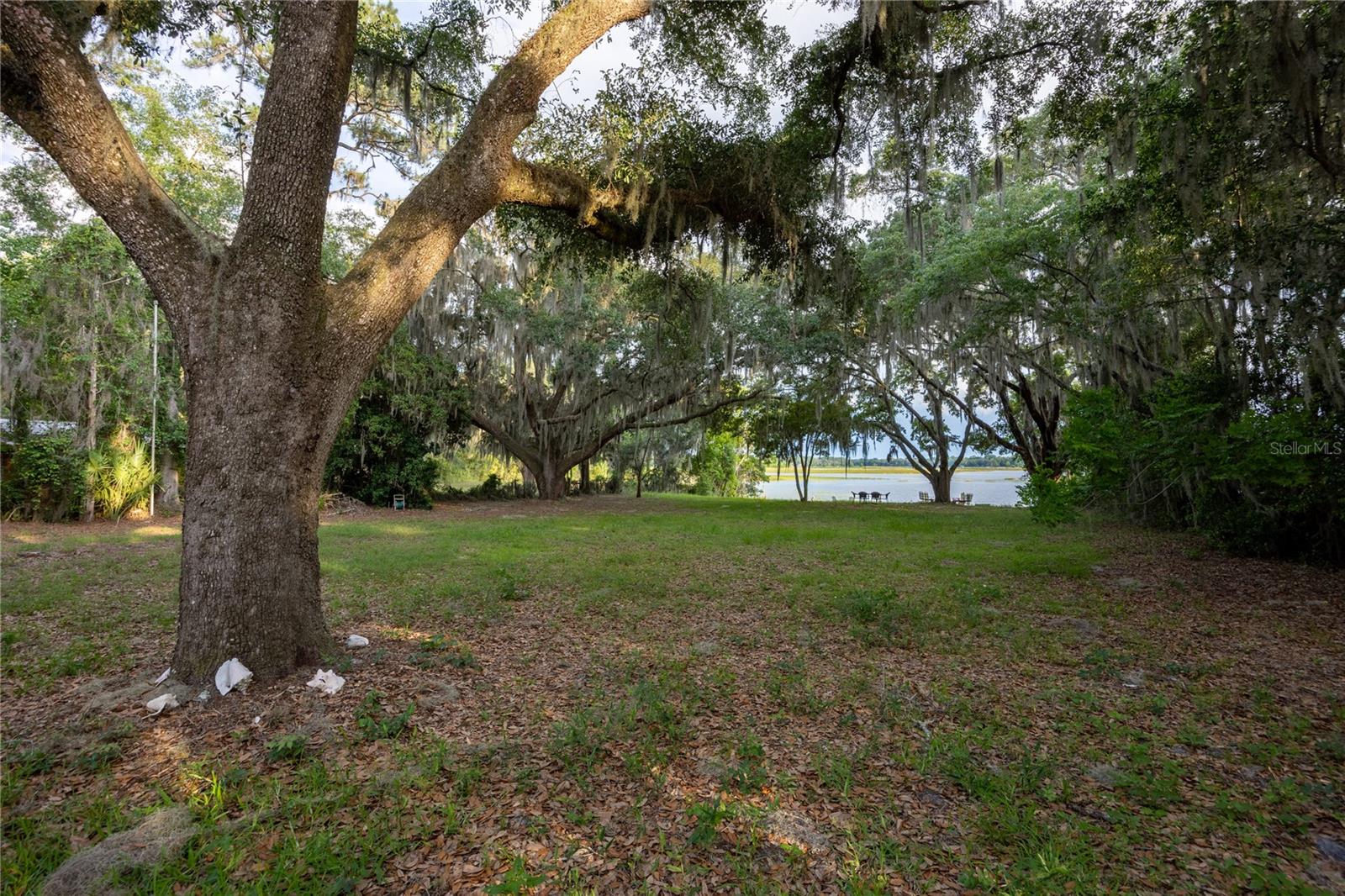 1847 STATE ROAD 20, HAWTHORNE, FL, 32640