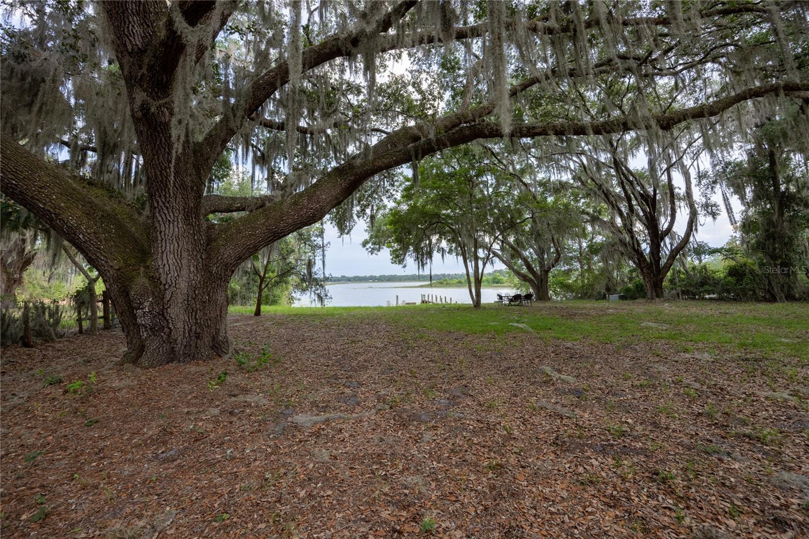 1847 STATE ROAD 20, HAWTHORNE, FL, 32640
