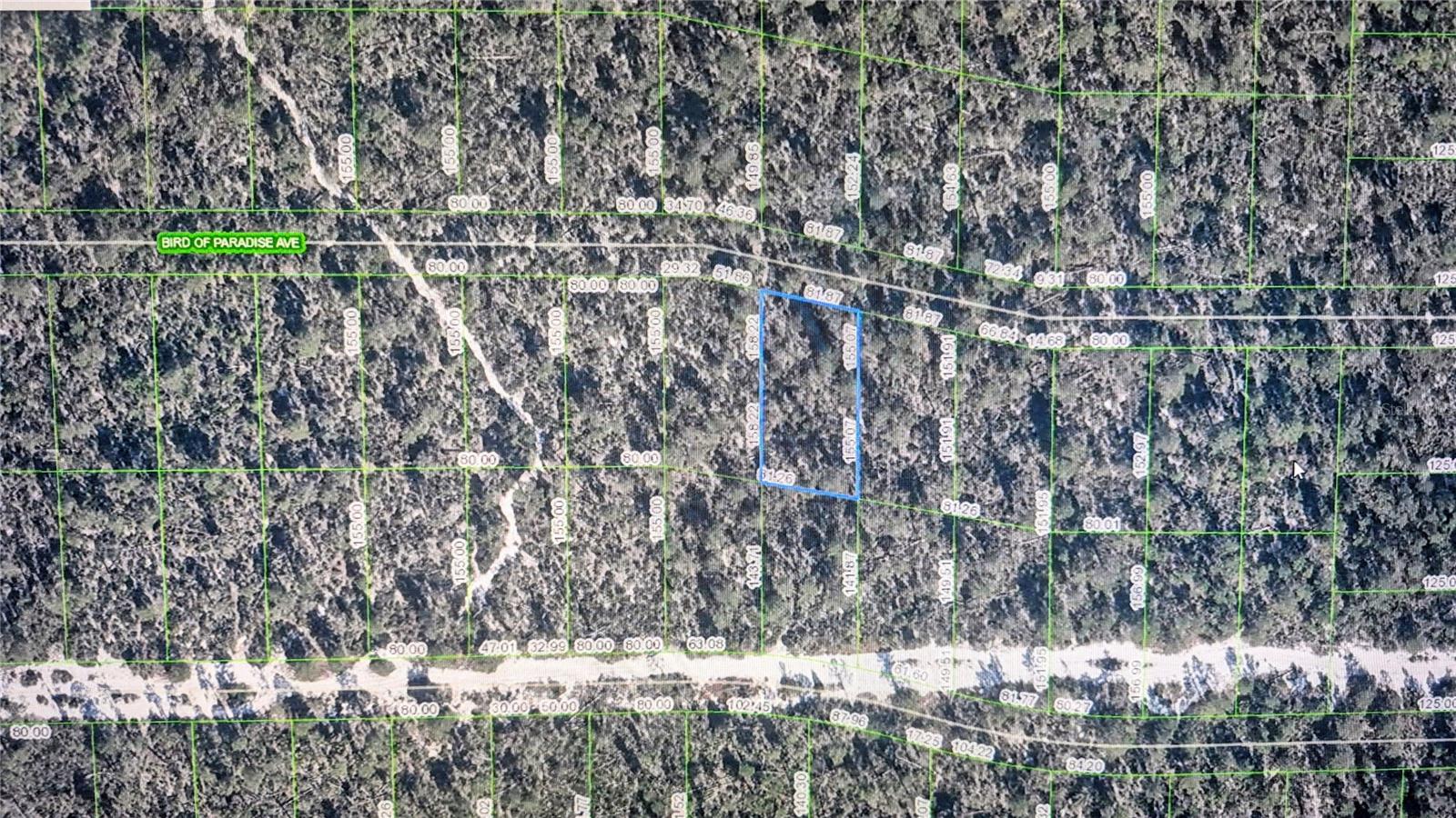 2137 BIRD OF PARADISE AVE, SEBRING, FL, 33875