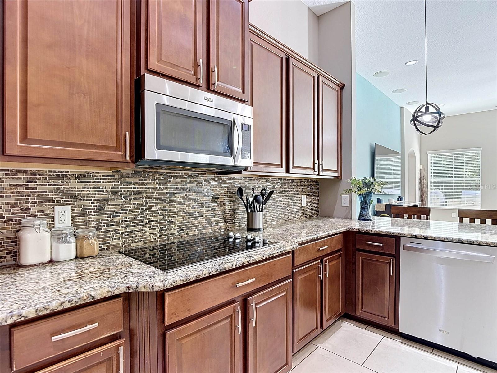 15401 AZRA DR, ODESSA, FL, 33556
