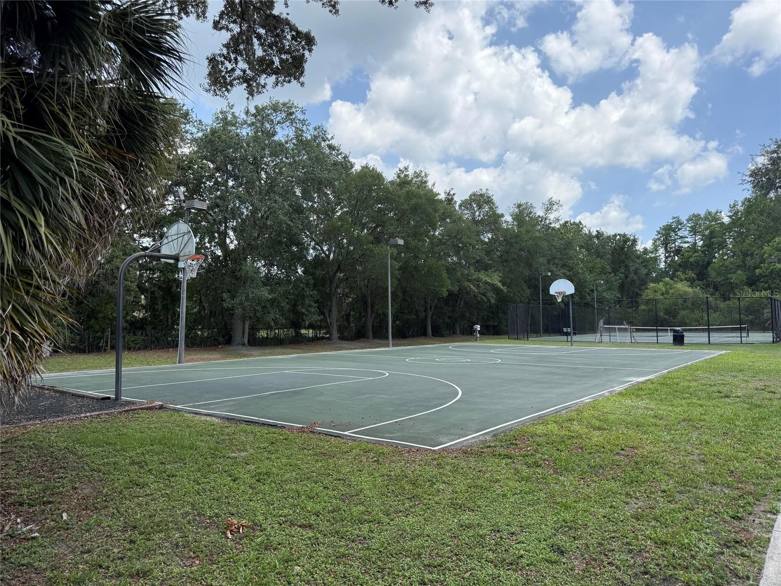 15401 AZRA DR, ODESSA, FL, 33556