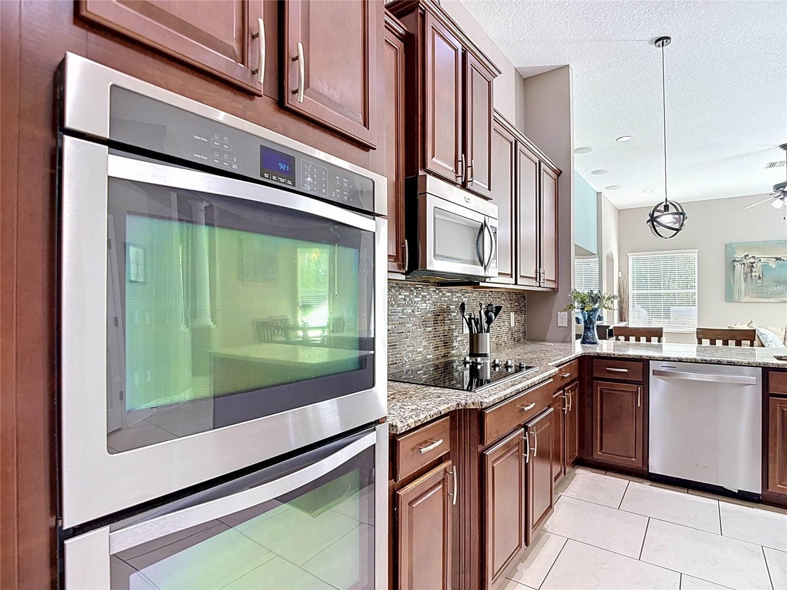 15401 AZRA DR, ODESSA, FL, 33556