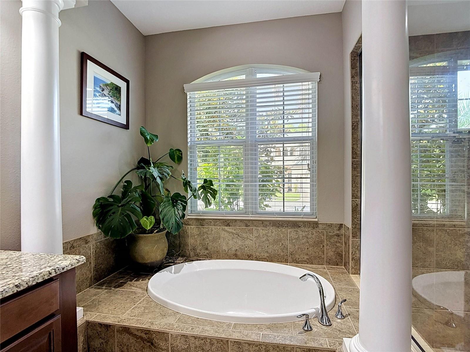 15401 AZRA DR, ODESSA, FL, 33556