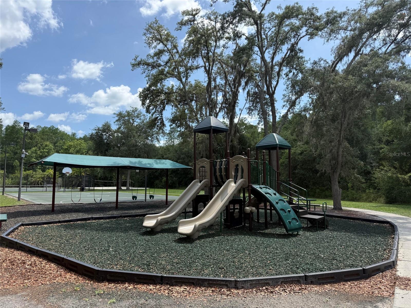 15401 AZRA DR, ODESSA, FL, 33556
