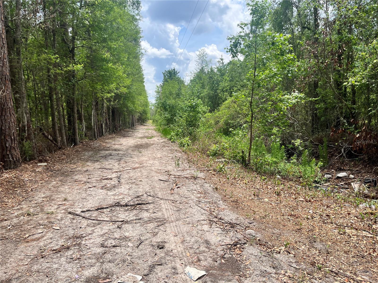 0 NW COUNTY ROAD 229, STARKE, FL, 32091