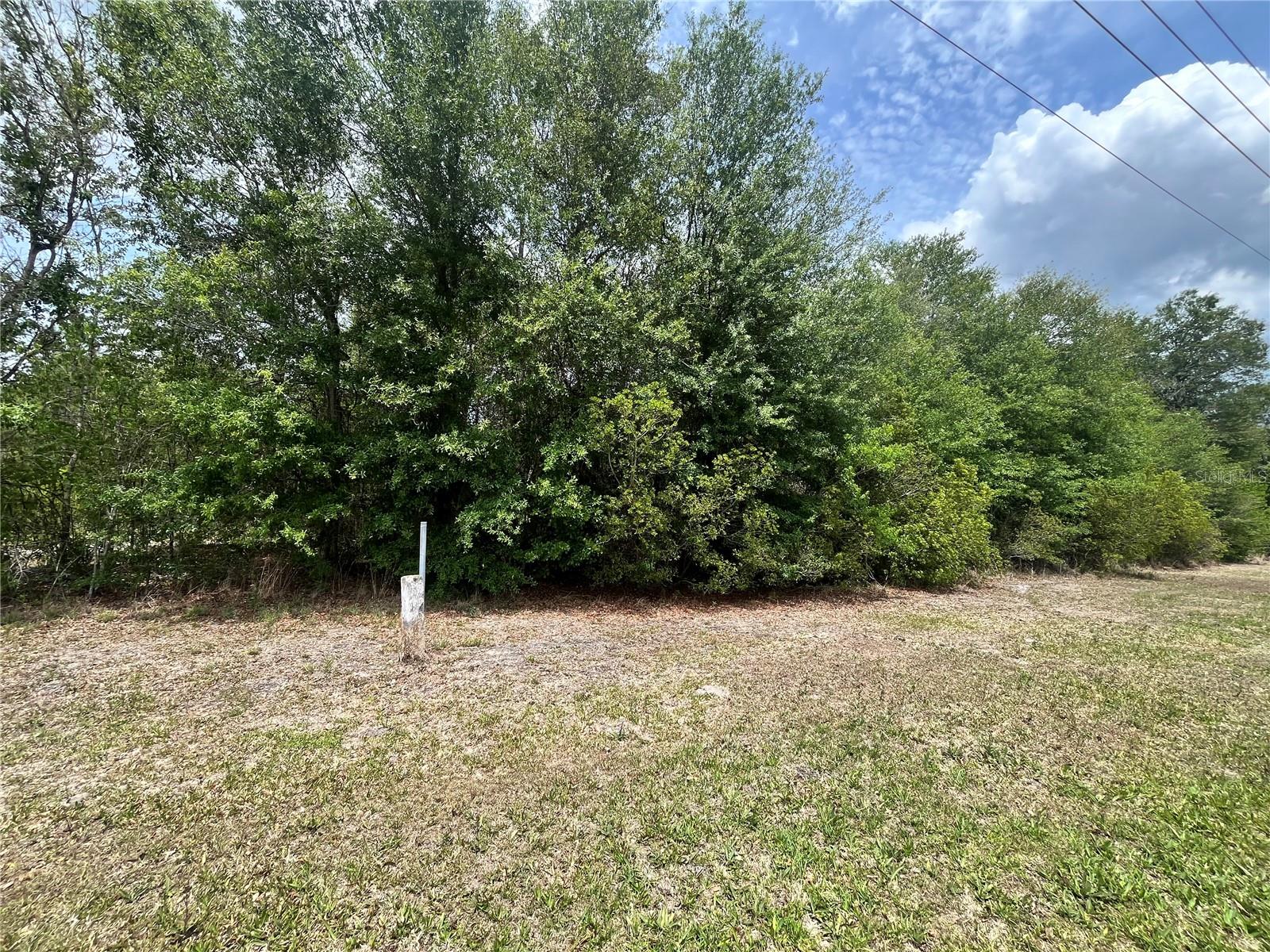 0 NW COUNTY ROAD 229, STARKE, FL, 32091
