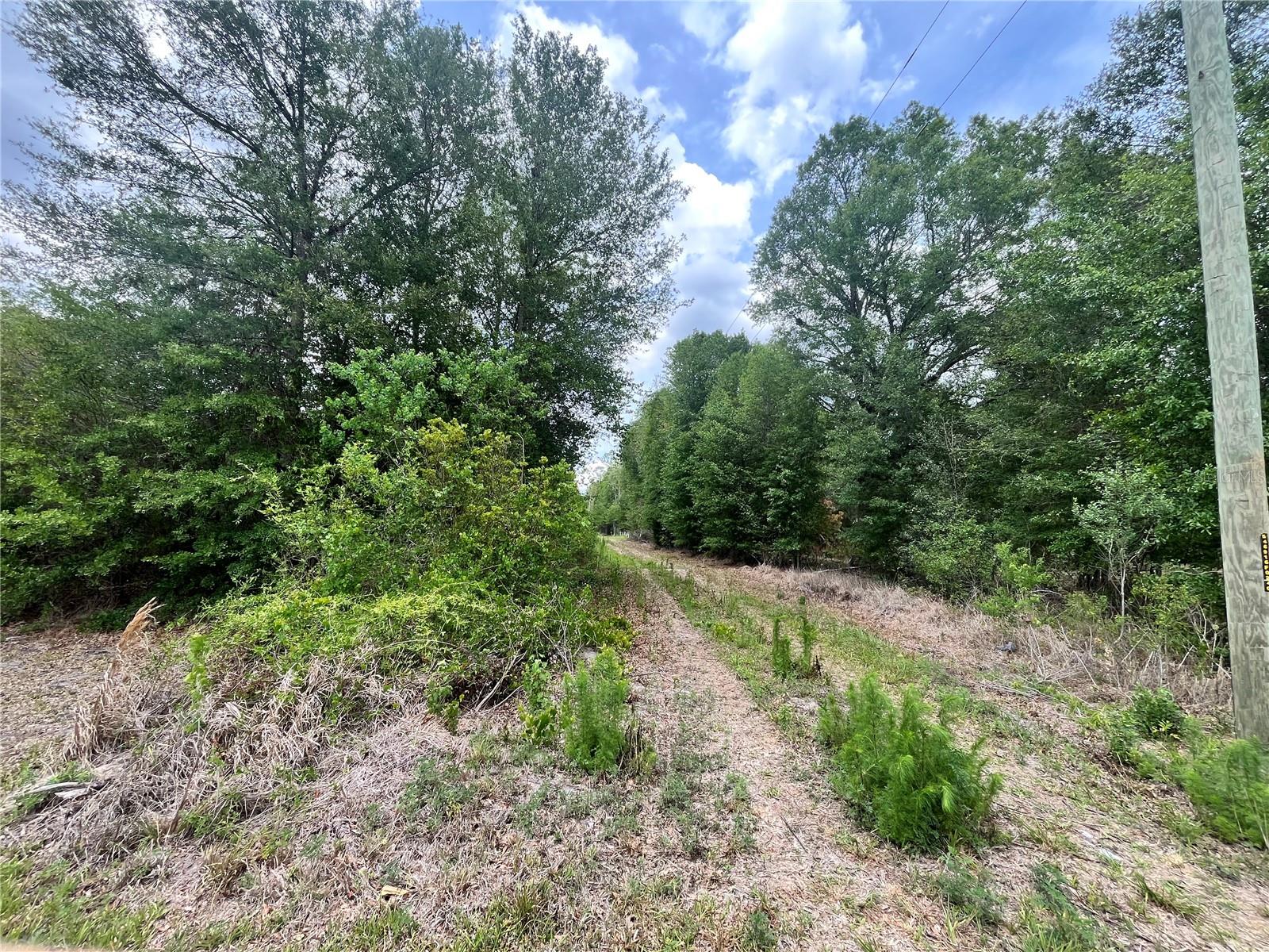 0 NW COUNTY ROAD 229, STARKE, FL, 32091