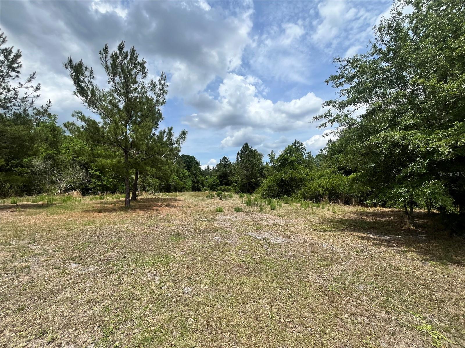 0 NW COUNTY ROAD 229, STARKE, FL, 32091