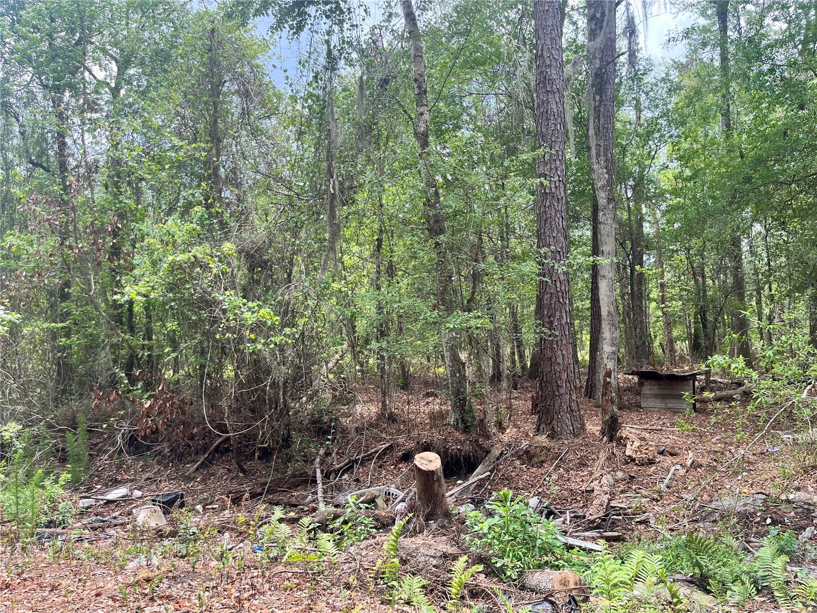 0 NW COUNTY ROAD 229, STARKE, FL, 32091